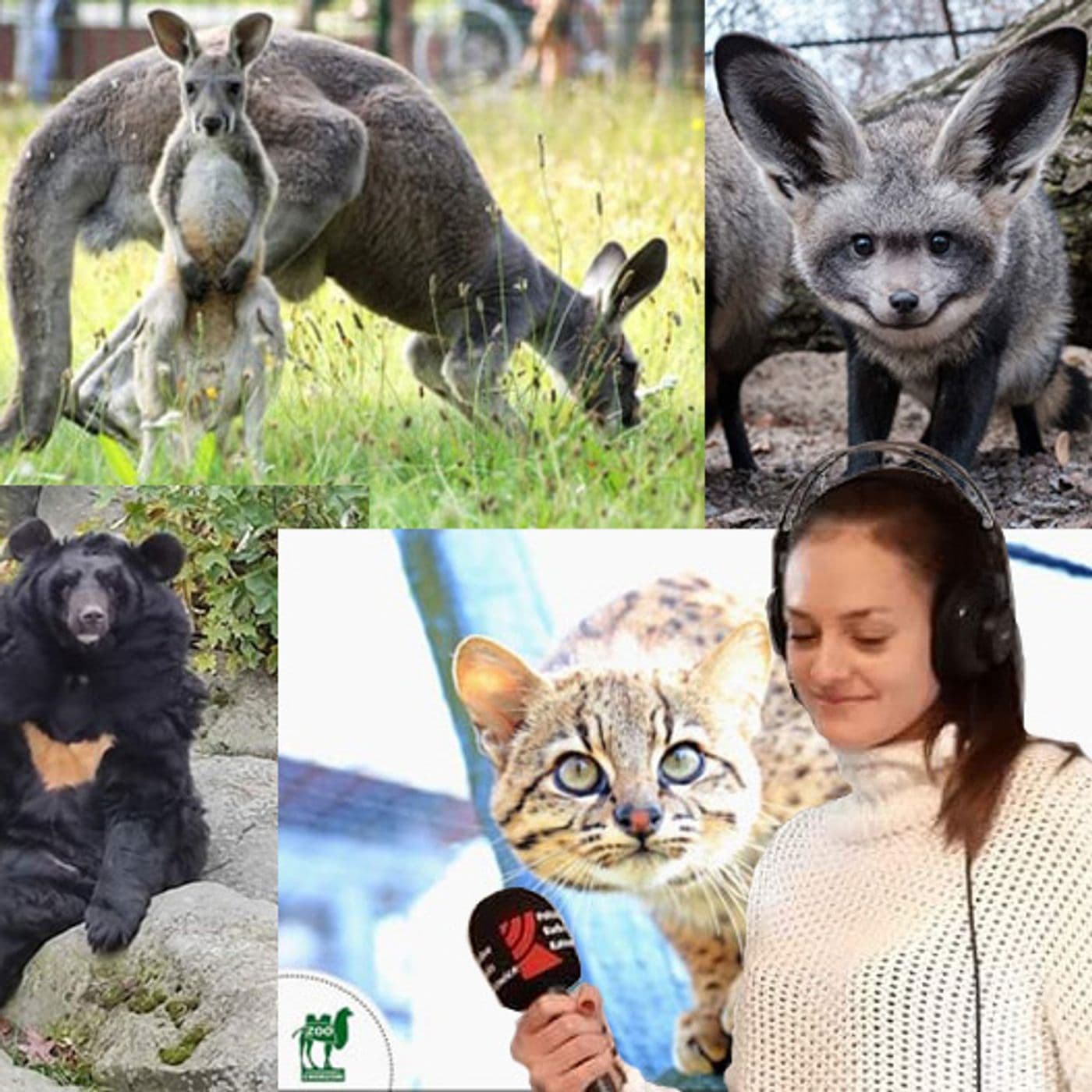 Z mikrofonem wśród zwierząt - Podcasts