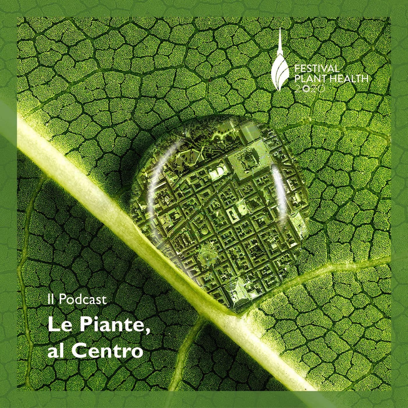 Le Piante, al Centro. - Podcasts