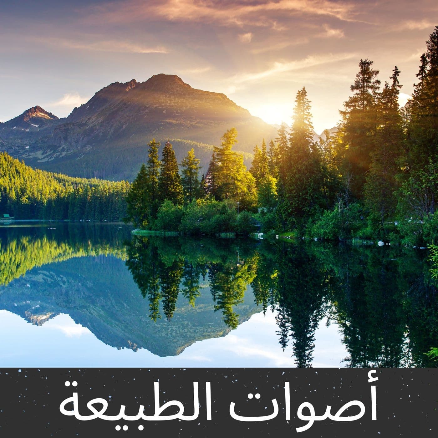 أصوات الطبيعة - Podcasts