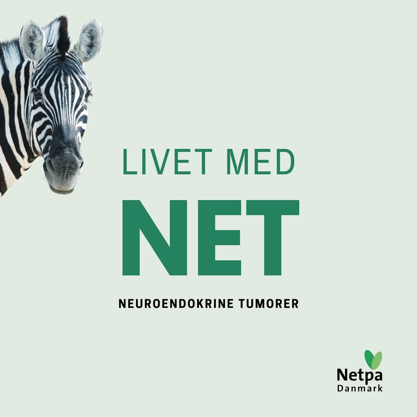 Livet med NET - Podcasts