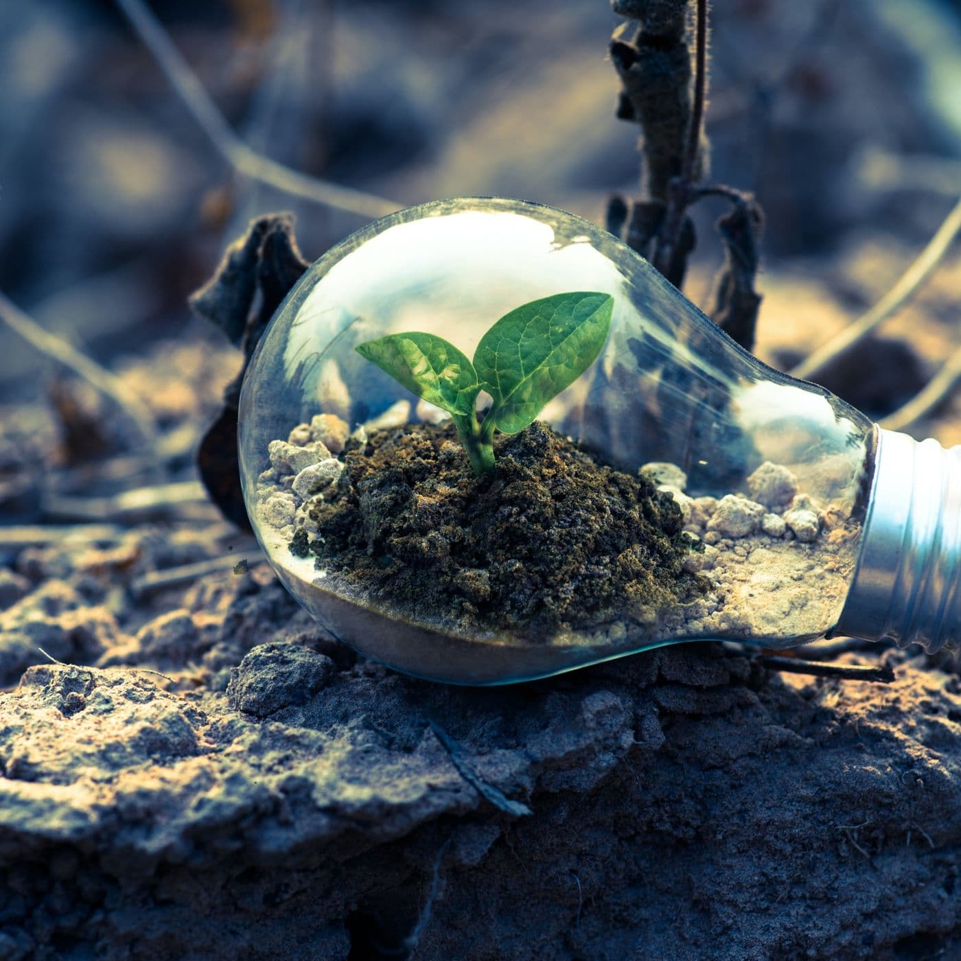 Ecoempreendedorismo - Podcasts