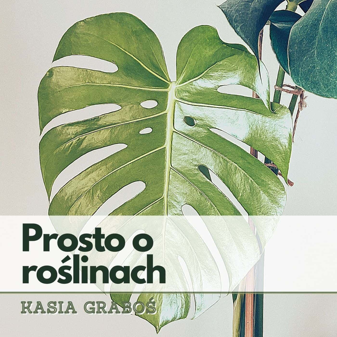 Prosto o roślinach - Podcasts