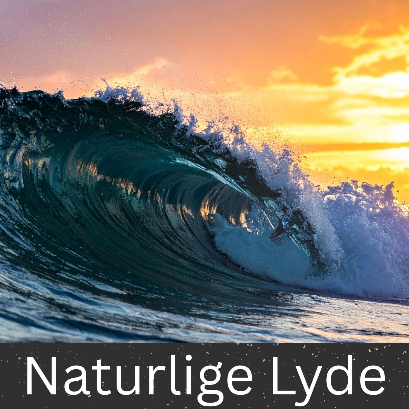 Naturlige Lyde - Podcasts
