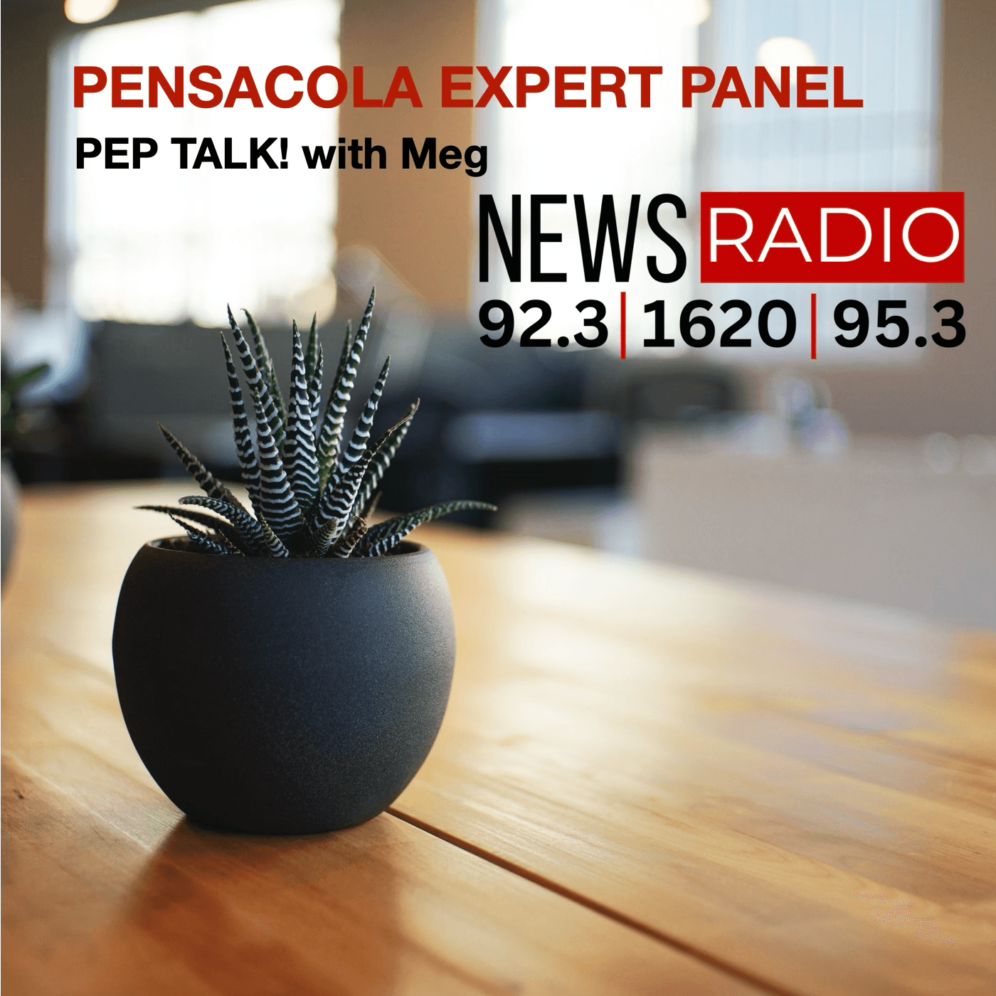 Pensacola Expert Panel - Podcasts