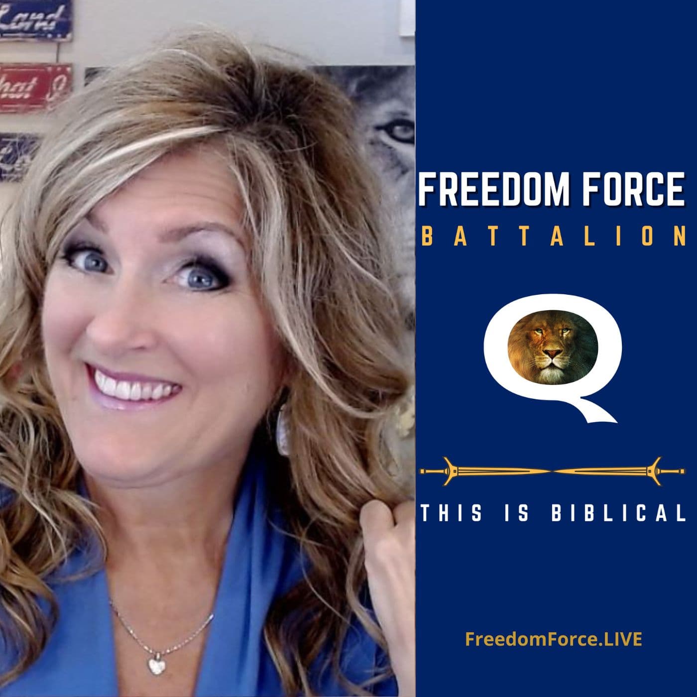 Freedom Force Battalion - Podcasts