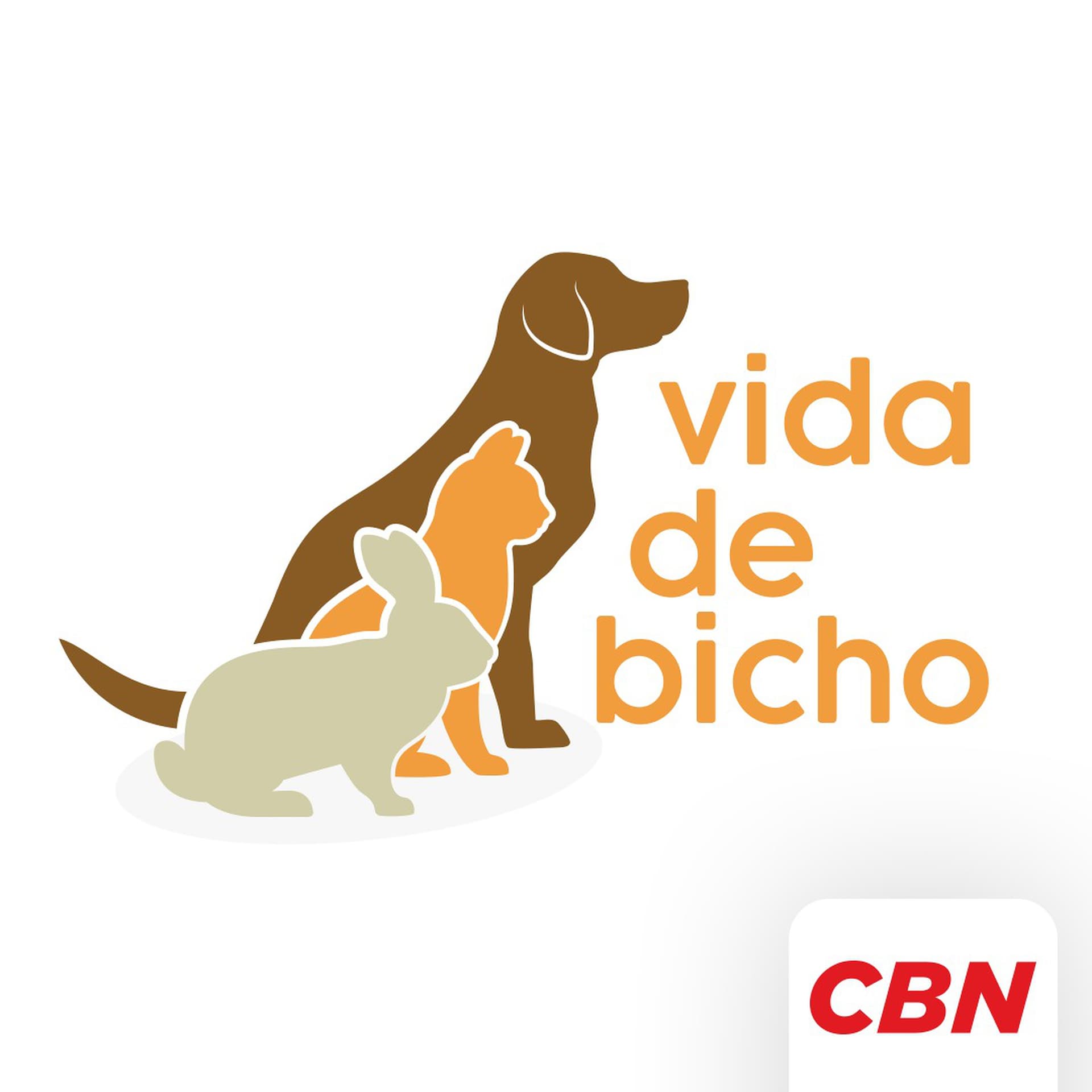 Vida de Bicho - Podcasts