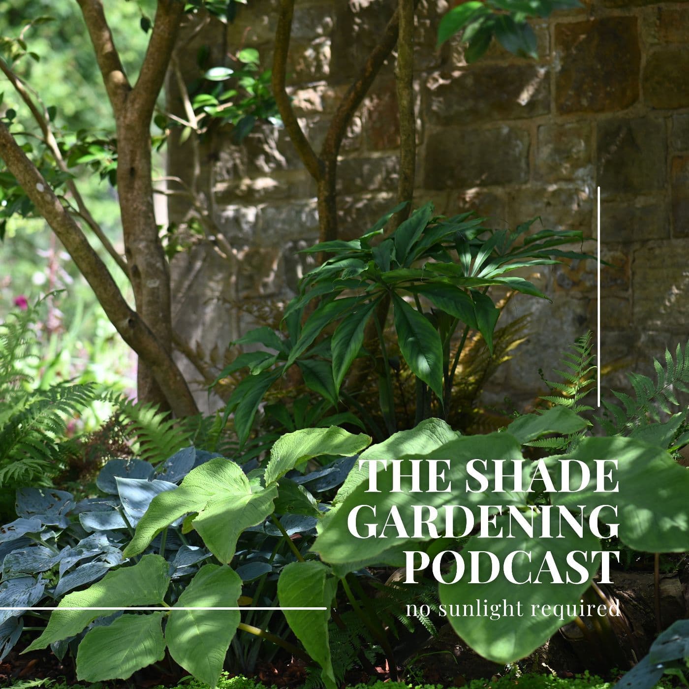 The Shade Gardening Podcast - Podcasts