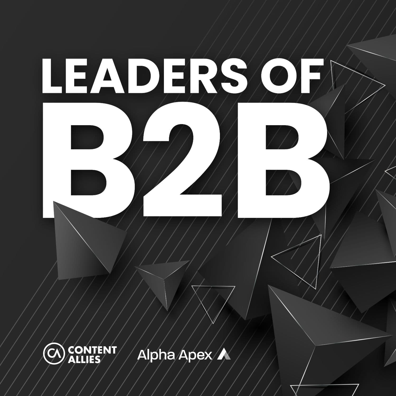 Leaders of B2B Podcast - Interviews on Business Leadership, B2B Sales, B2B Marketing and Revenue Growth - Podcasts