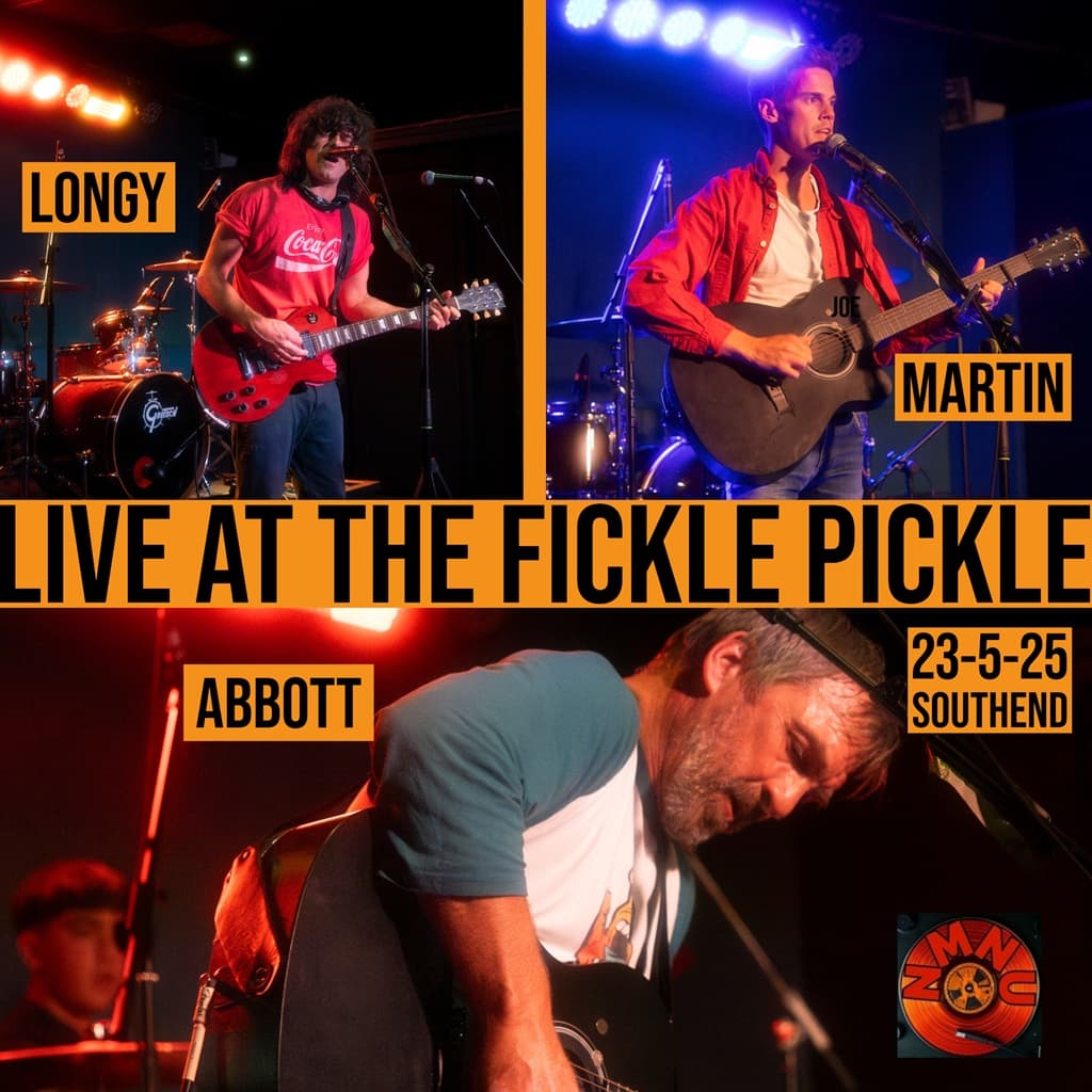 Live at the Fickle Pickle - Into the Valueverse - Podcasts