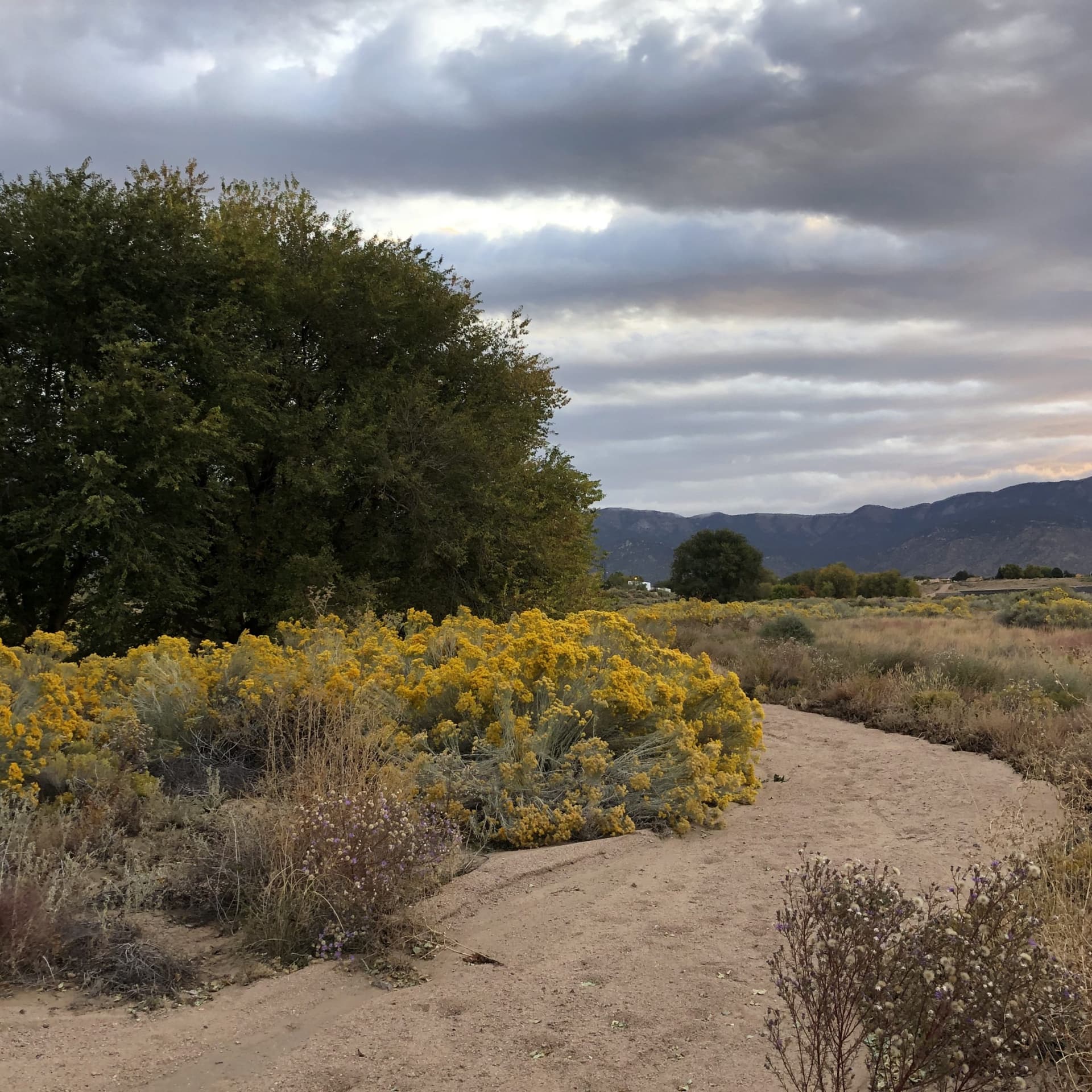 High Desert Presbyterian Church Sermons - Podcasts