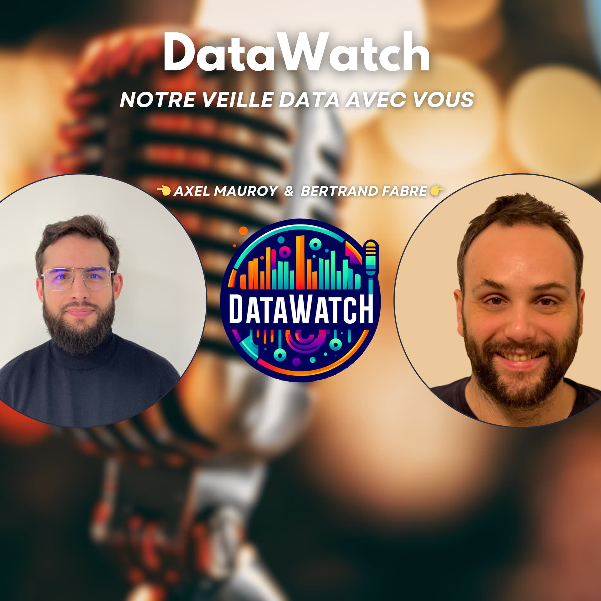 DataWatch - Podcasts