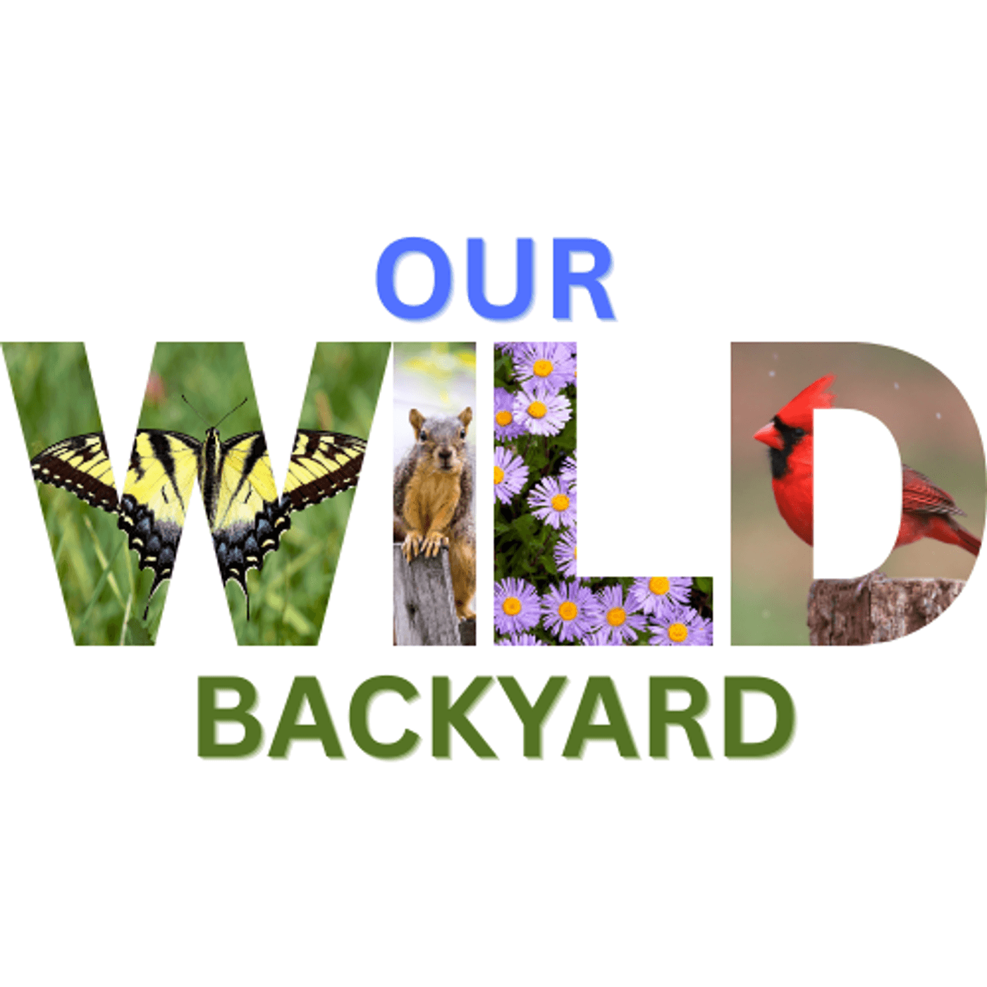 Our Wild Backyard - Podcasts