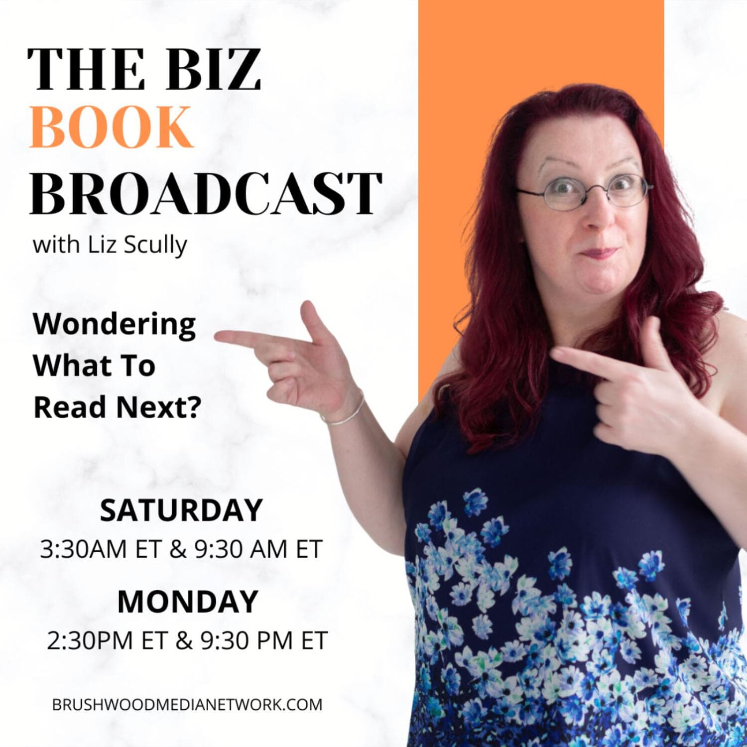 The Biz Book Broadcast - Podcasts