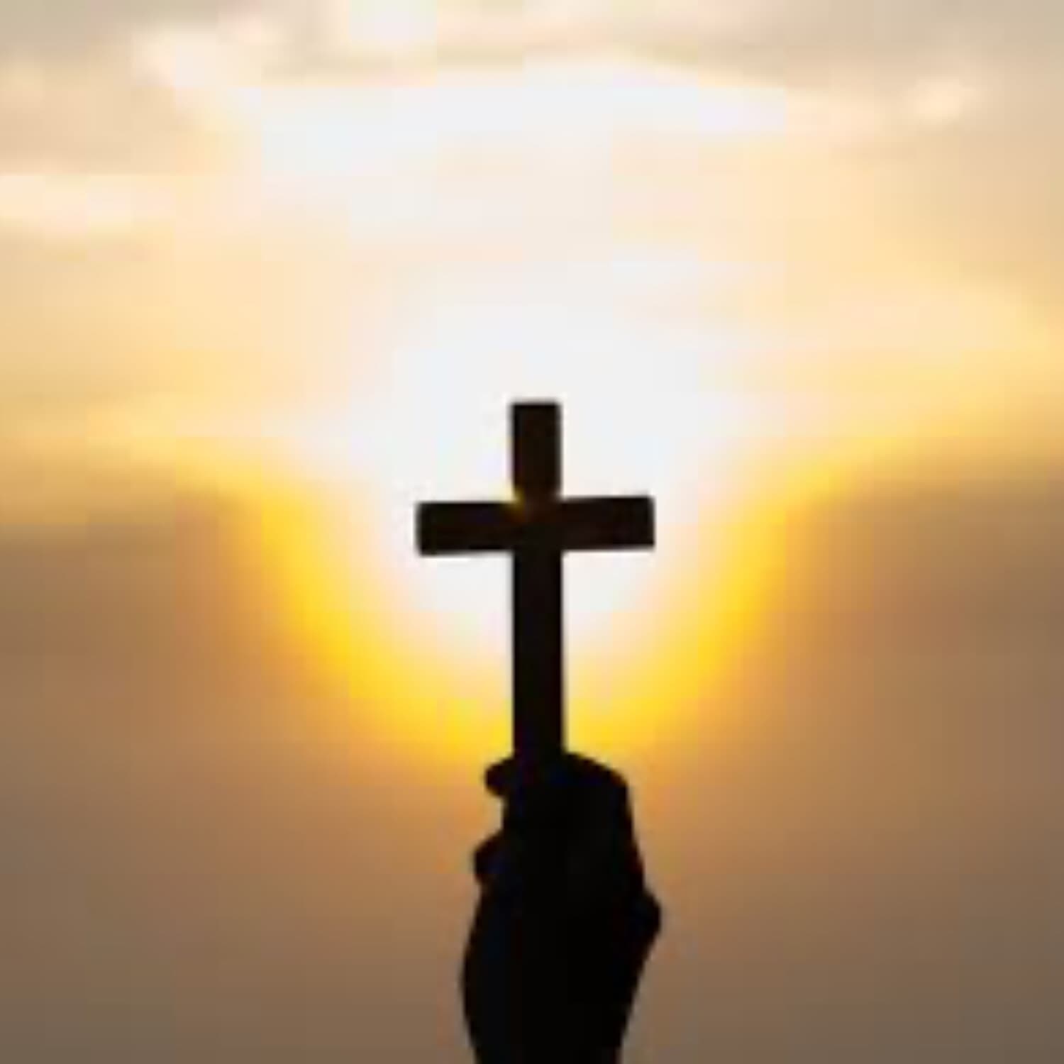 The Bible in Today's World - Podcasts