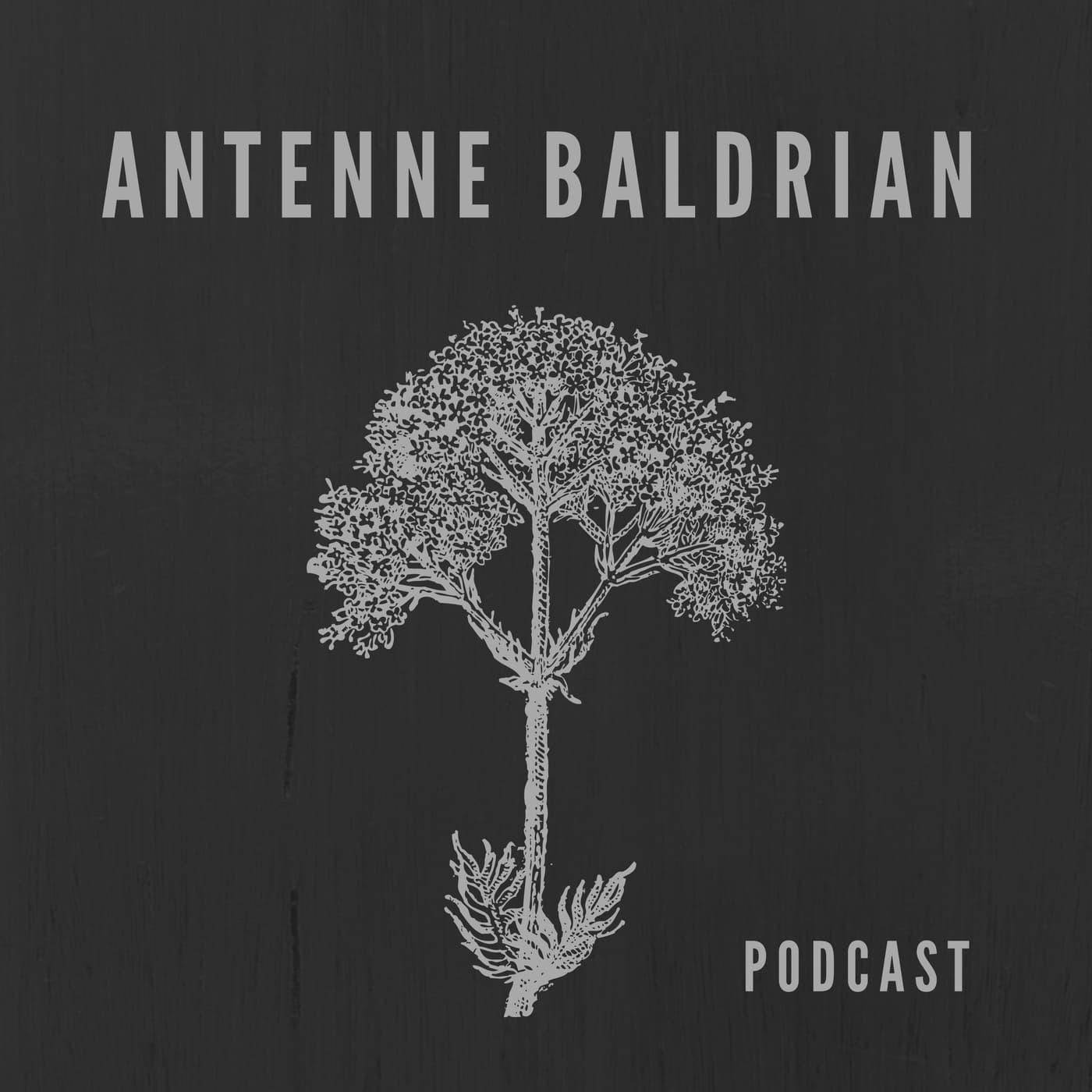 Antenne Baldrian - Podcasts