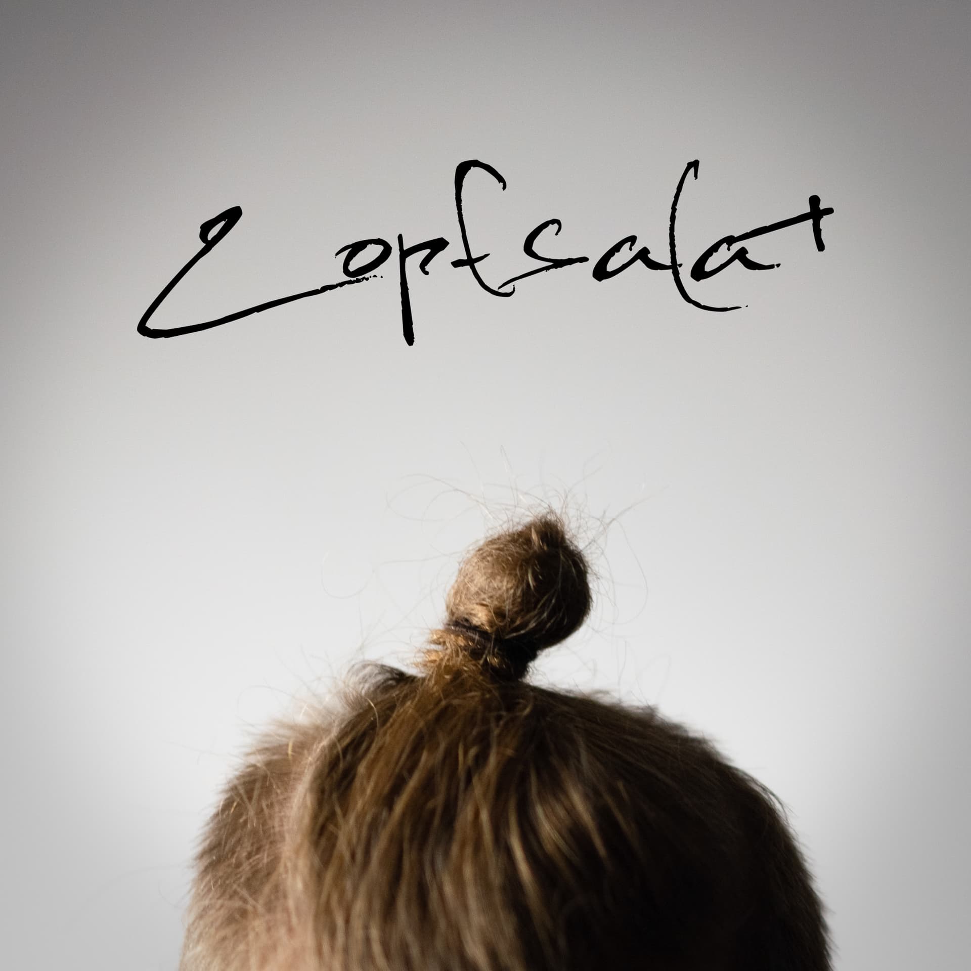 Zopfsalat - Podcasts