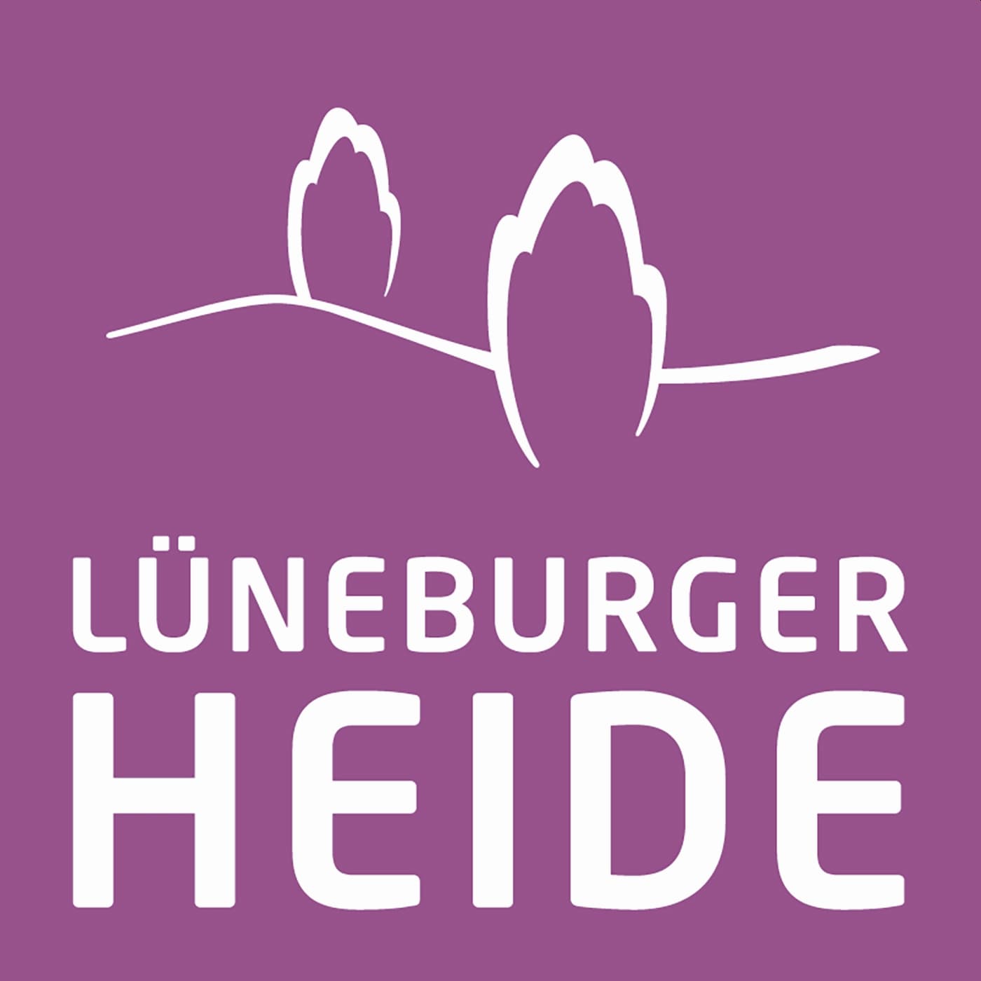 HEIDE Geflüster - Podcasts