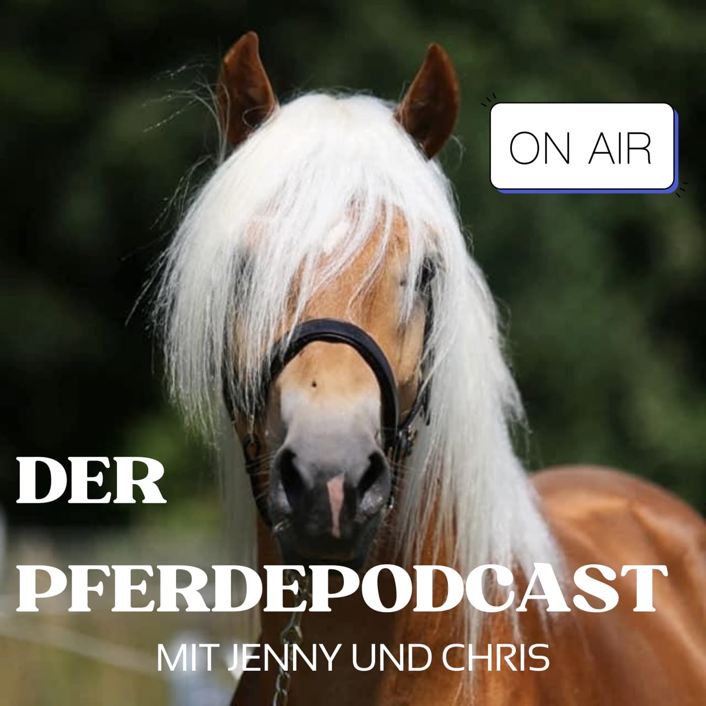 Der Pferdepodcast - Podcasts