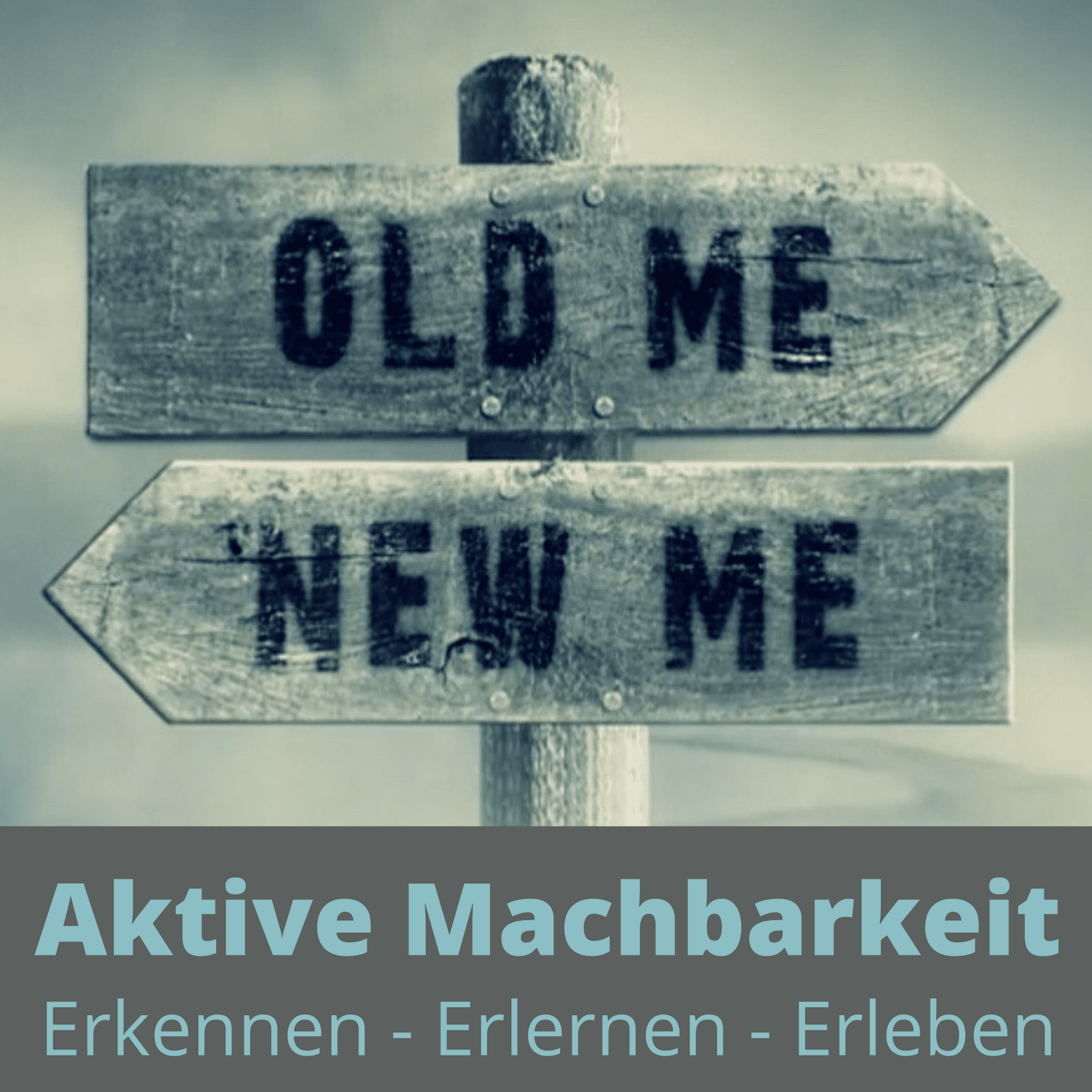 Aktive Machbarkeit - Erkennen - Erlernen - Erleben - Podcasts