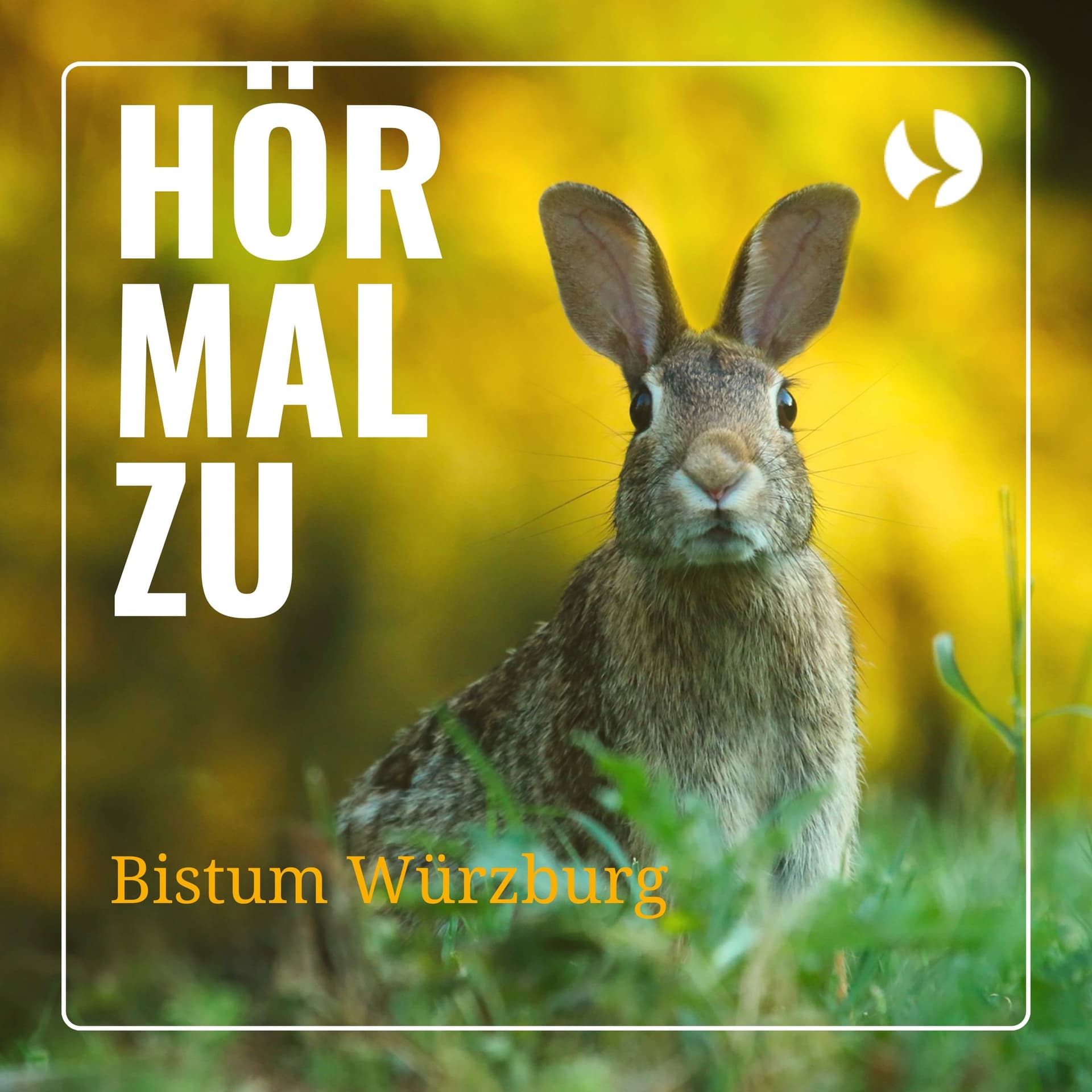 Hör mal zu