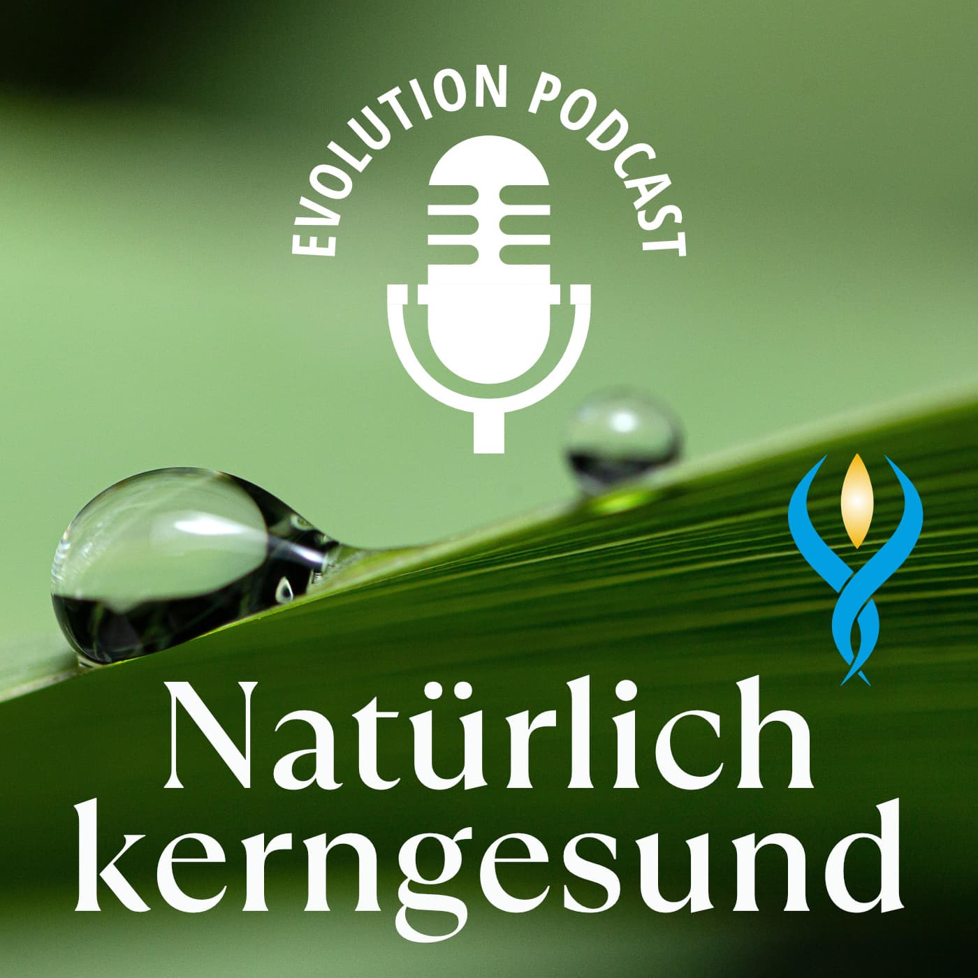 Natürlich kerngesund - ein Leben lang | Gesundheit zum Hören - Podcasts