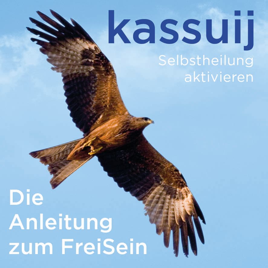 Kassuij - Der Podcast - Podcasts