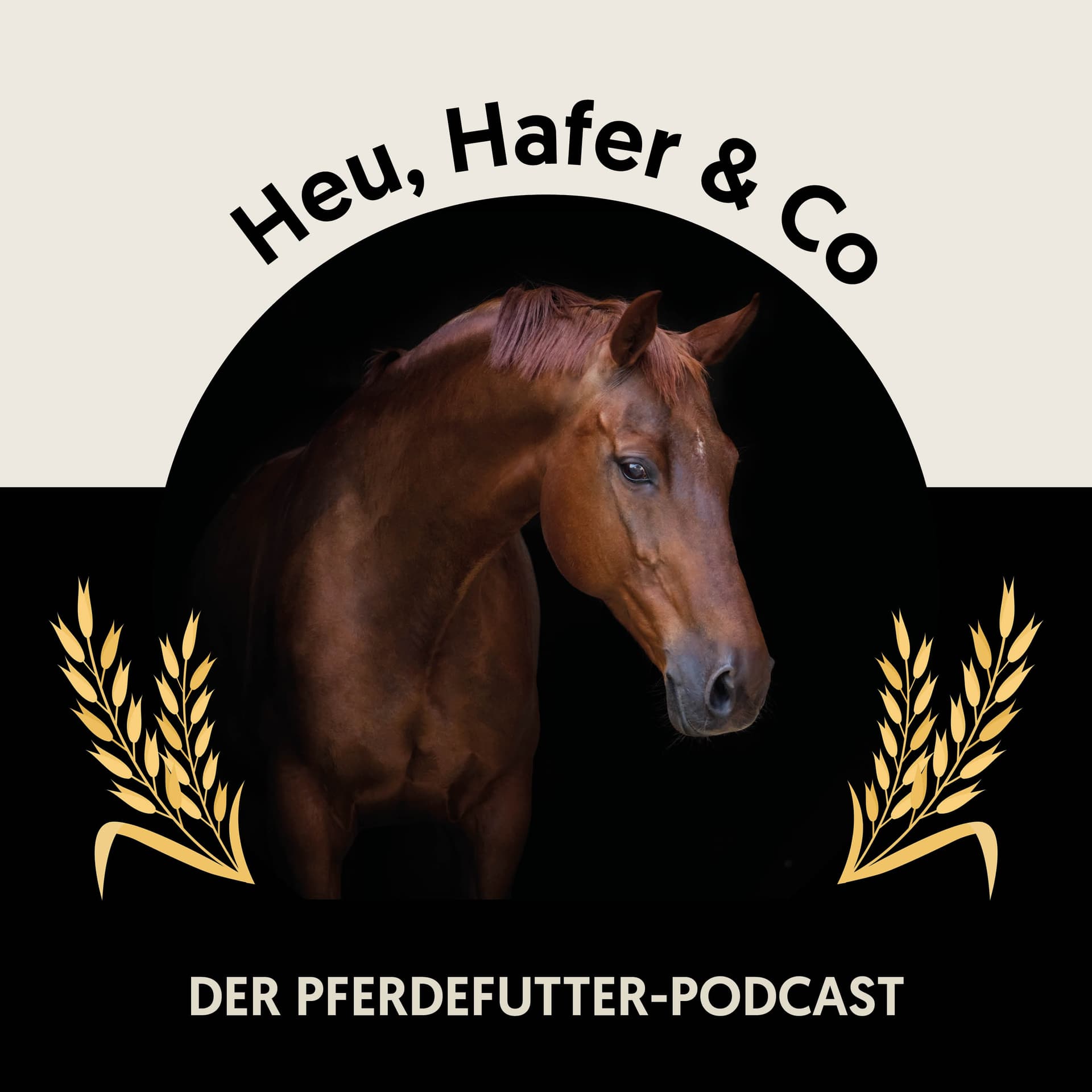 Heu, Hafer & Co: Der Pferdefutter-Podcast - Podcasts