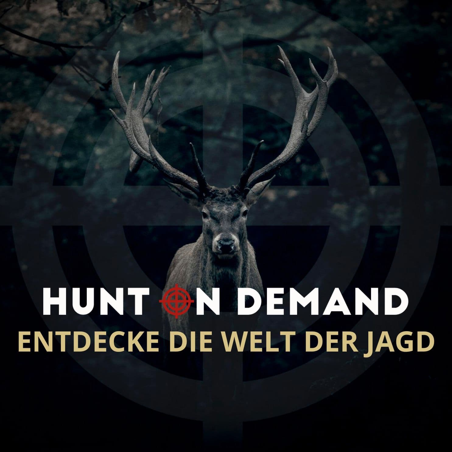 Entdecke die Welt der Jagd! - Podcasts