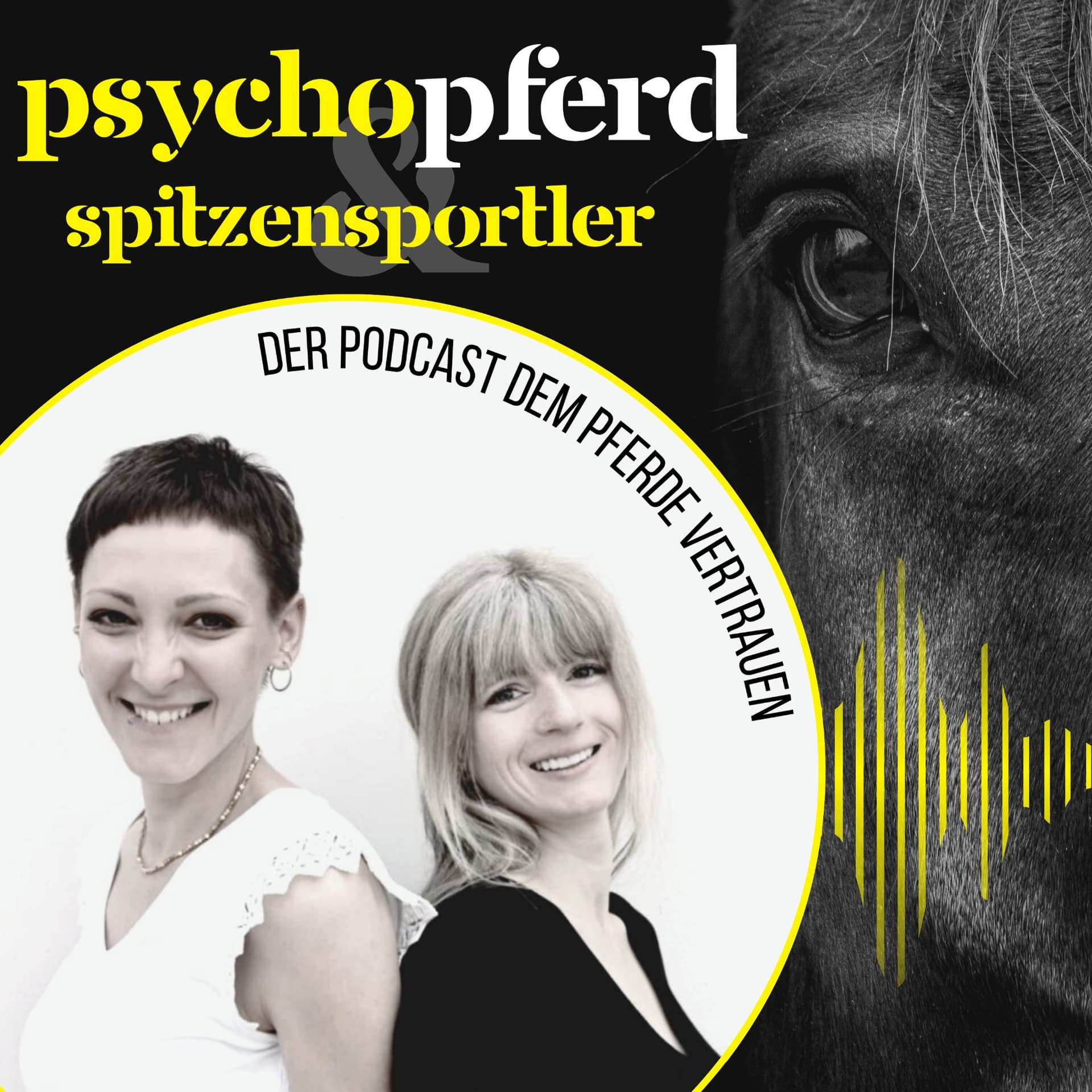 PsychoPferd & Spitzensportler - Podcasts