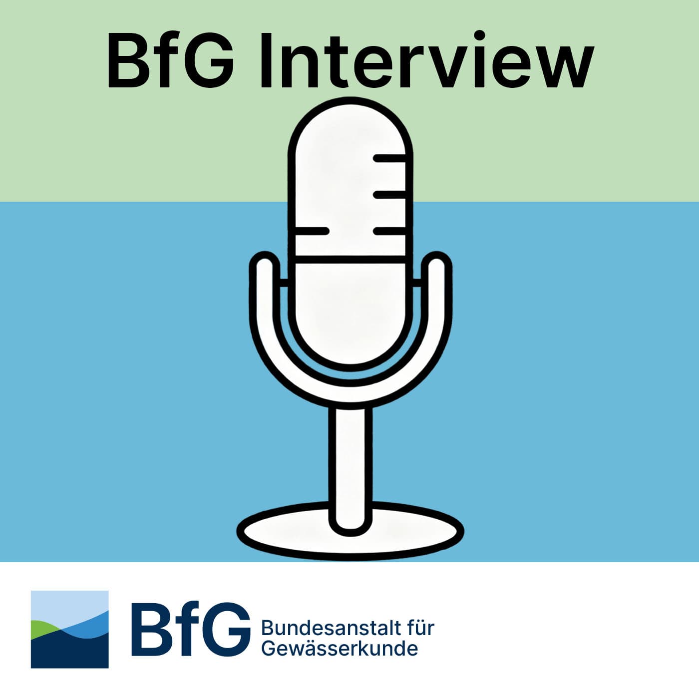BfG Interview - Podcasts