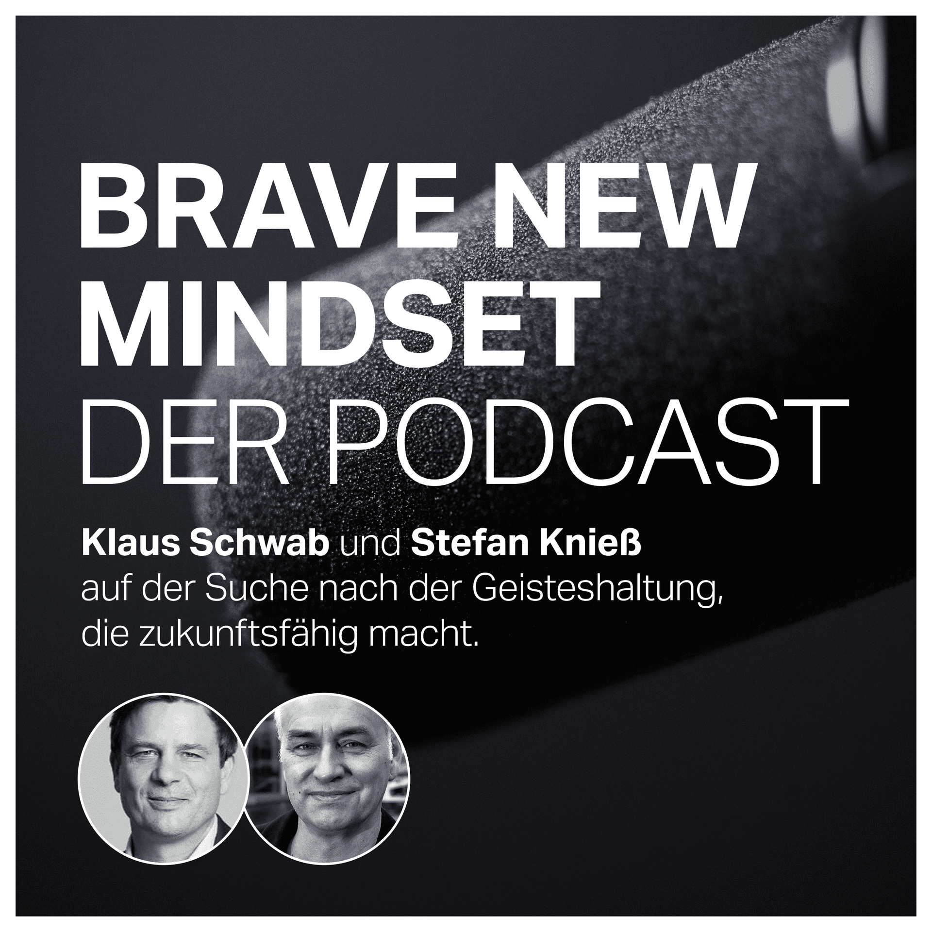 BRAVE NEW MINDSET – Auf der Suche nach der Haltung, die uns zukunftsfähig macht - Podcasts