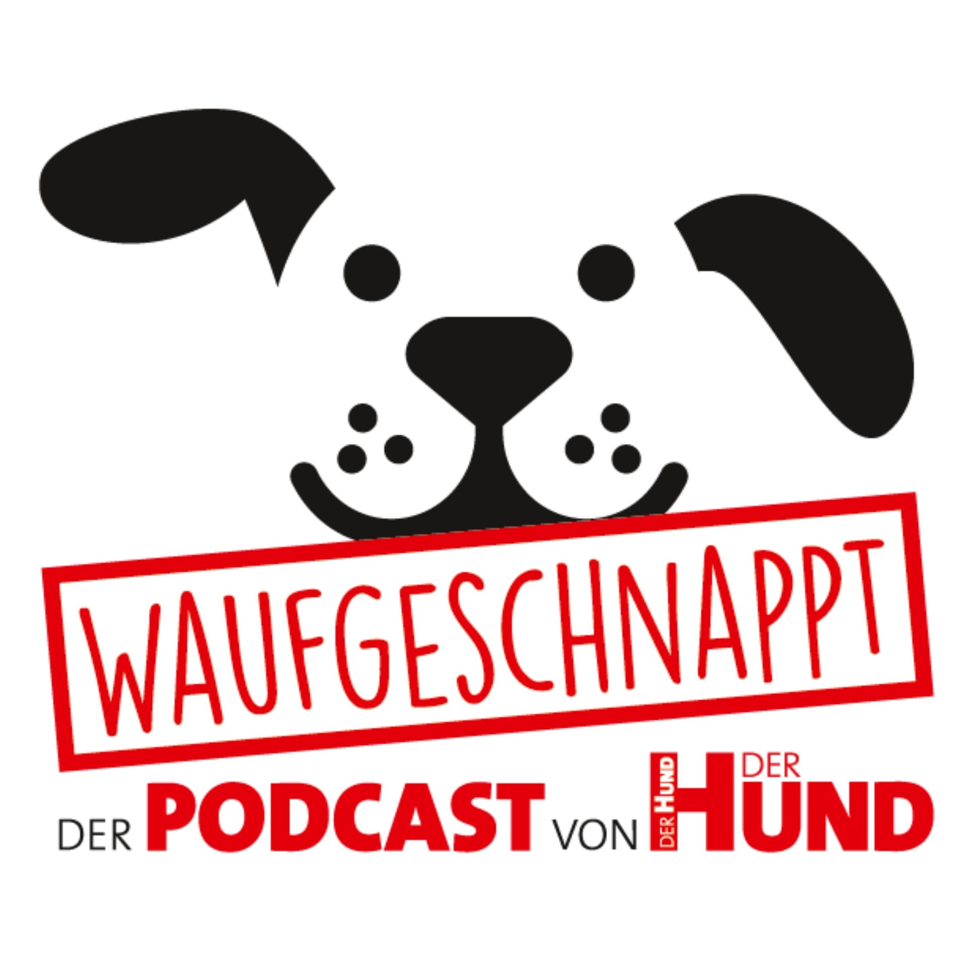Waufgeschnappt - der Podcast von DER HUND - Podcasts