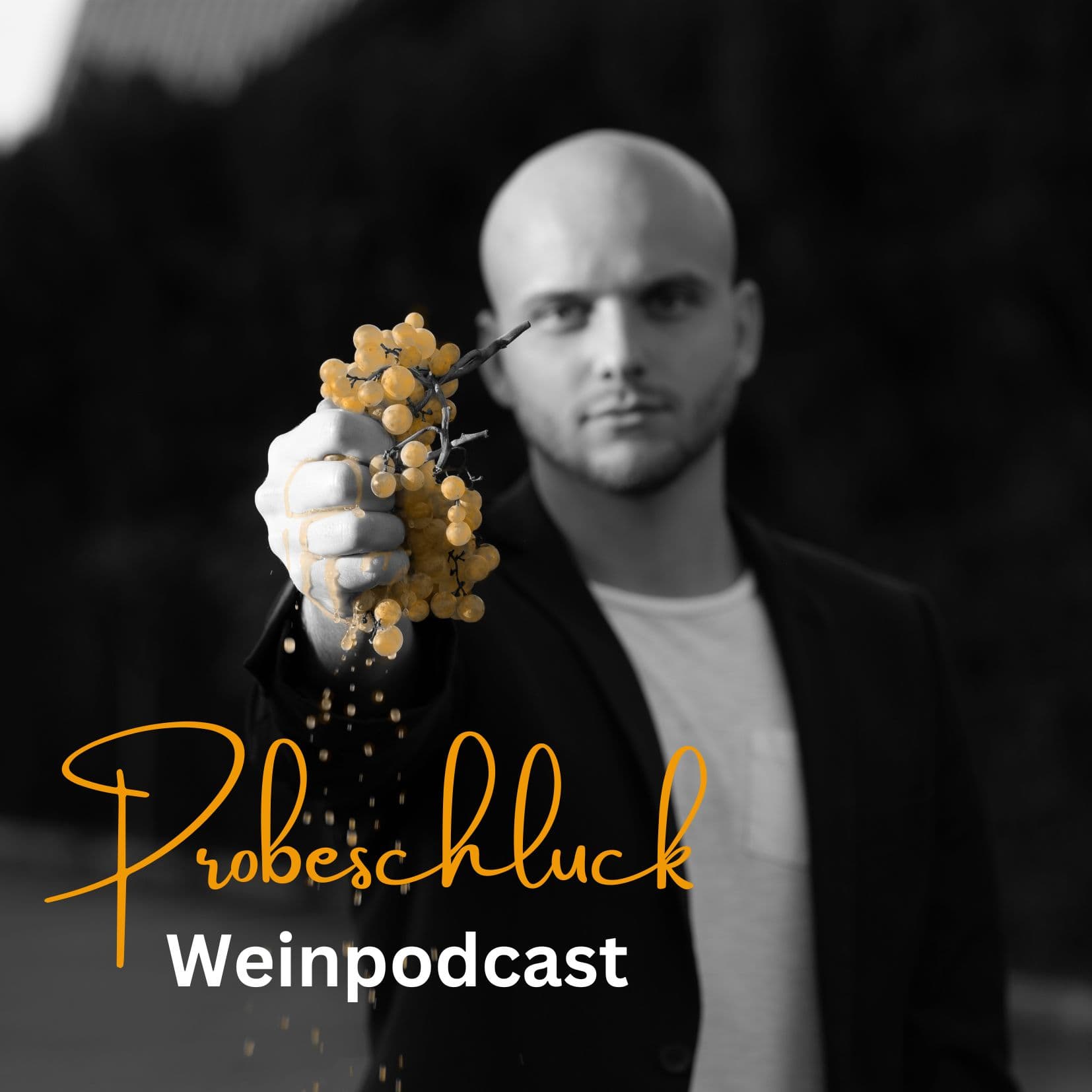 Probeschluck - Weinpodcast - Podcasts