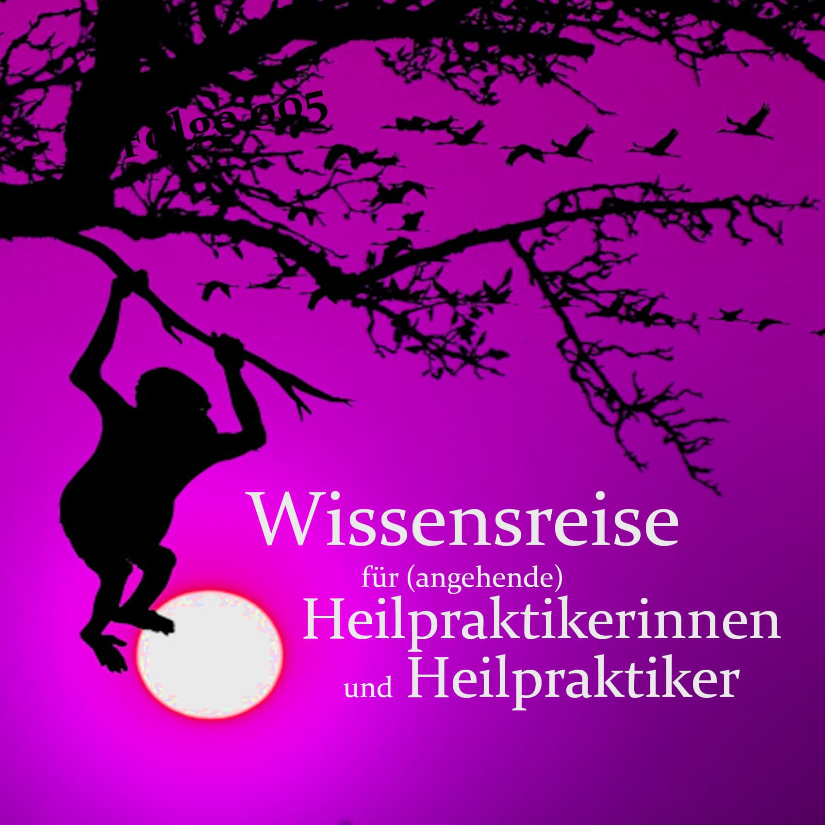 Wissensreise für (angehende) Heilpraktikerinnen und Heilpraktiker - Podcasts