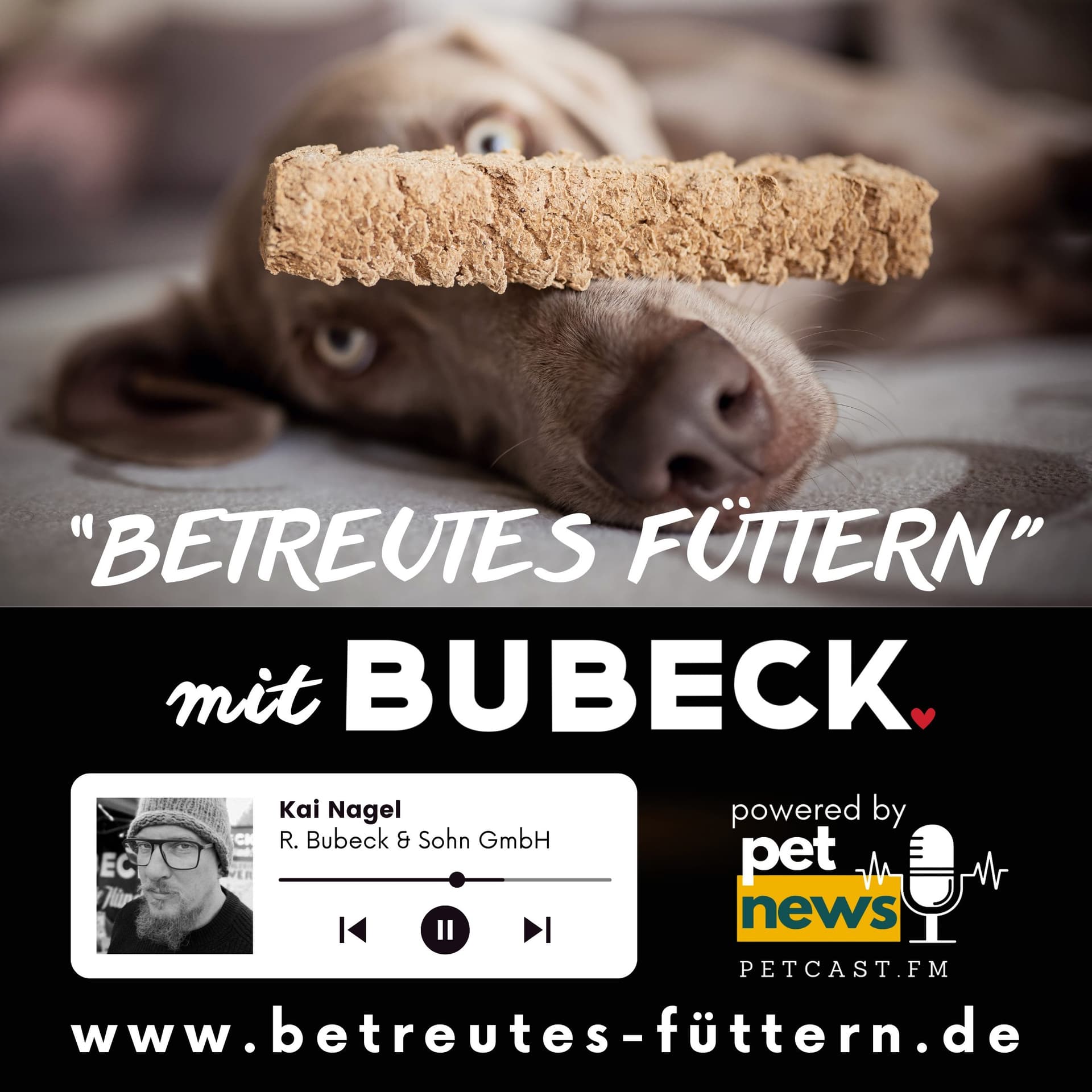 Betreutes Füttern mit Bubeck - Die älteste Hundefuttermanufaktur von 1893 - Podcasts