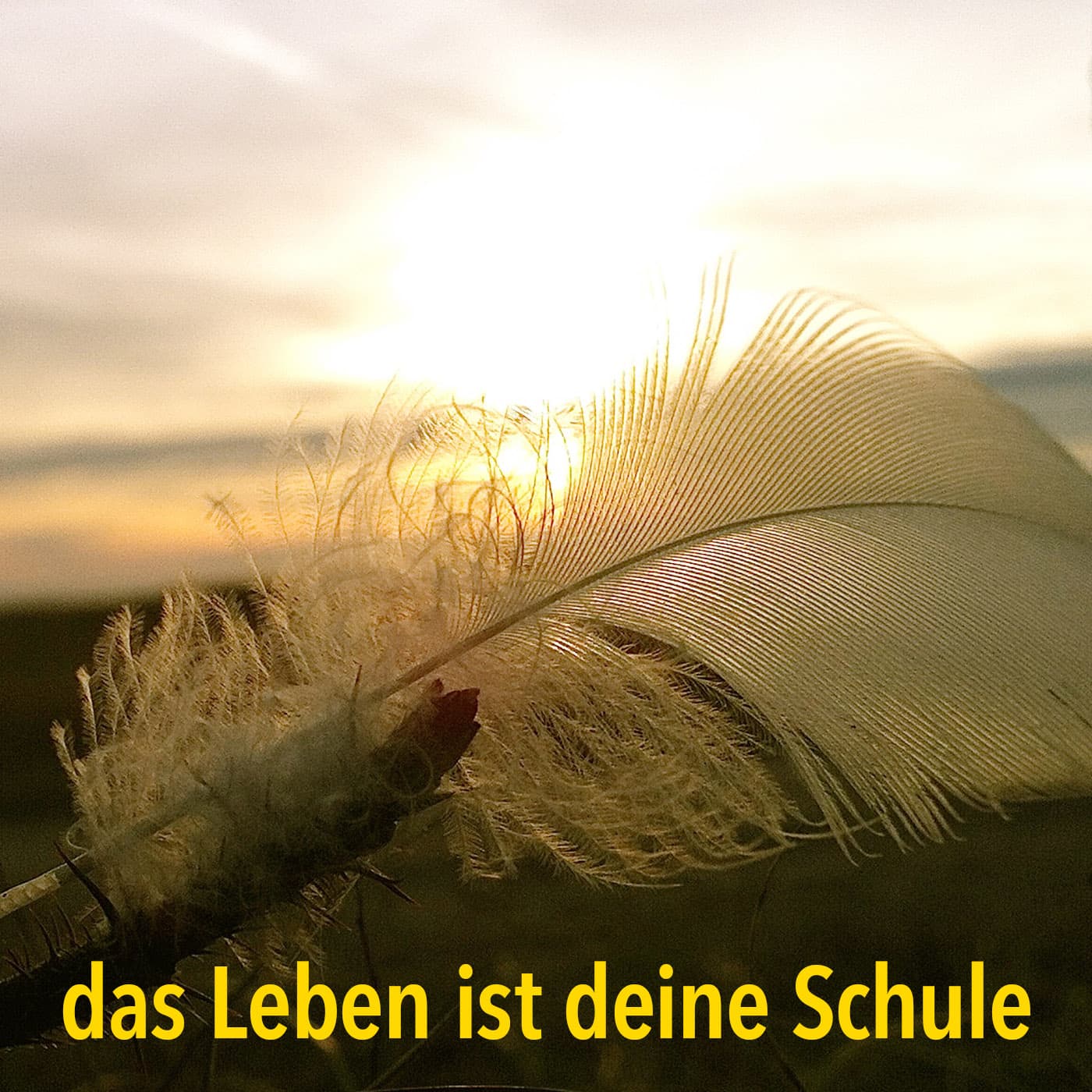 das Leben ist deine Schule - Podcasts