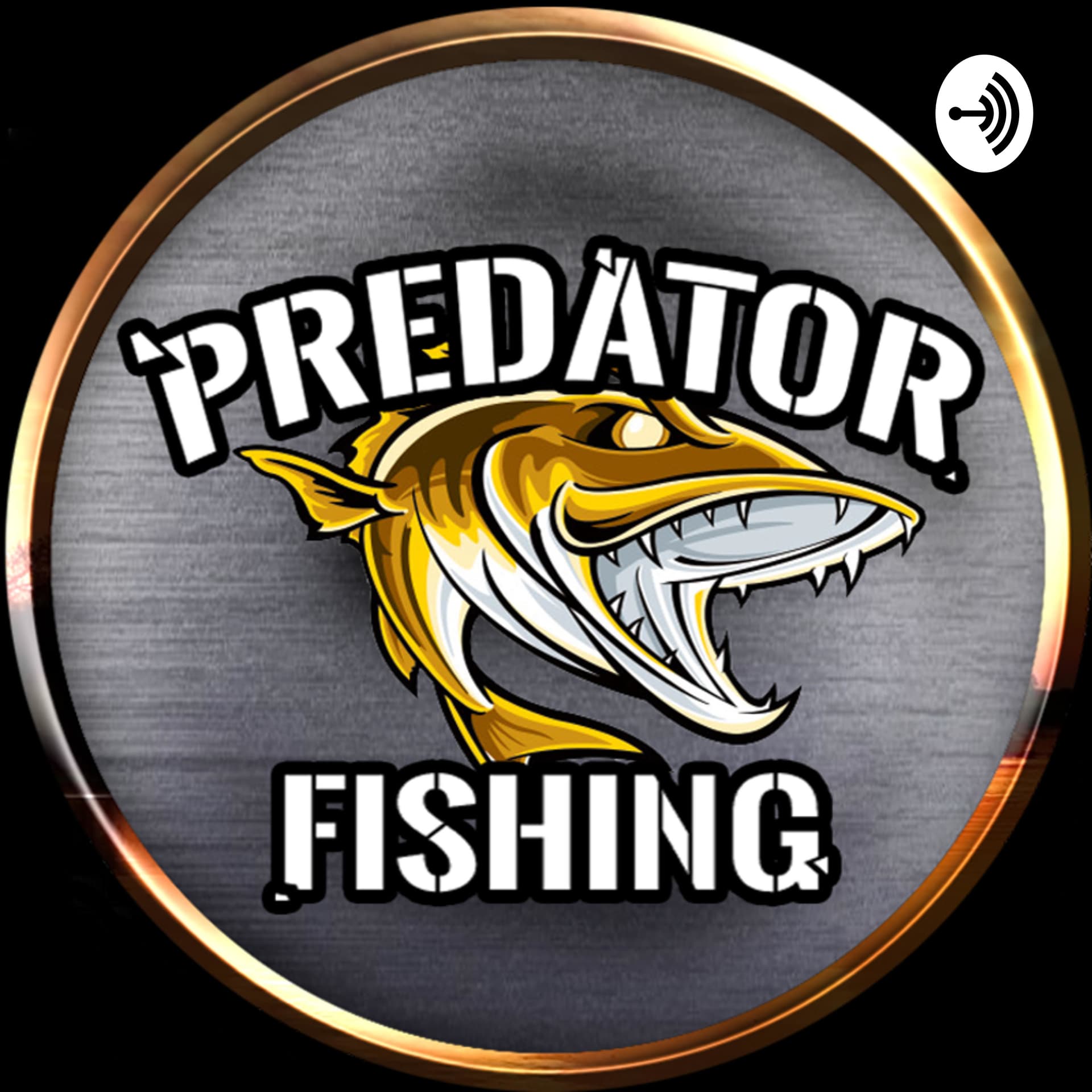 Predator Fishing | Raubfisch angeln leicht gemacht - Podcasts
