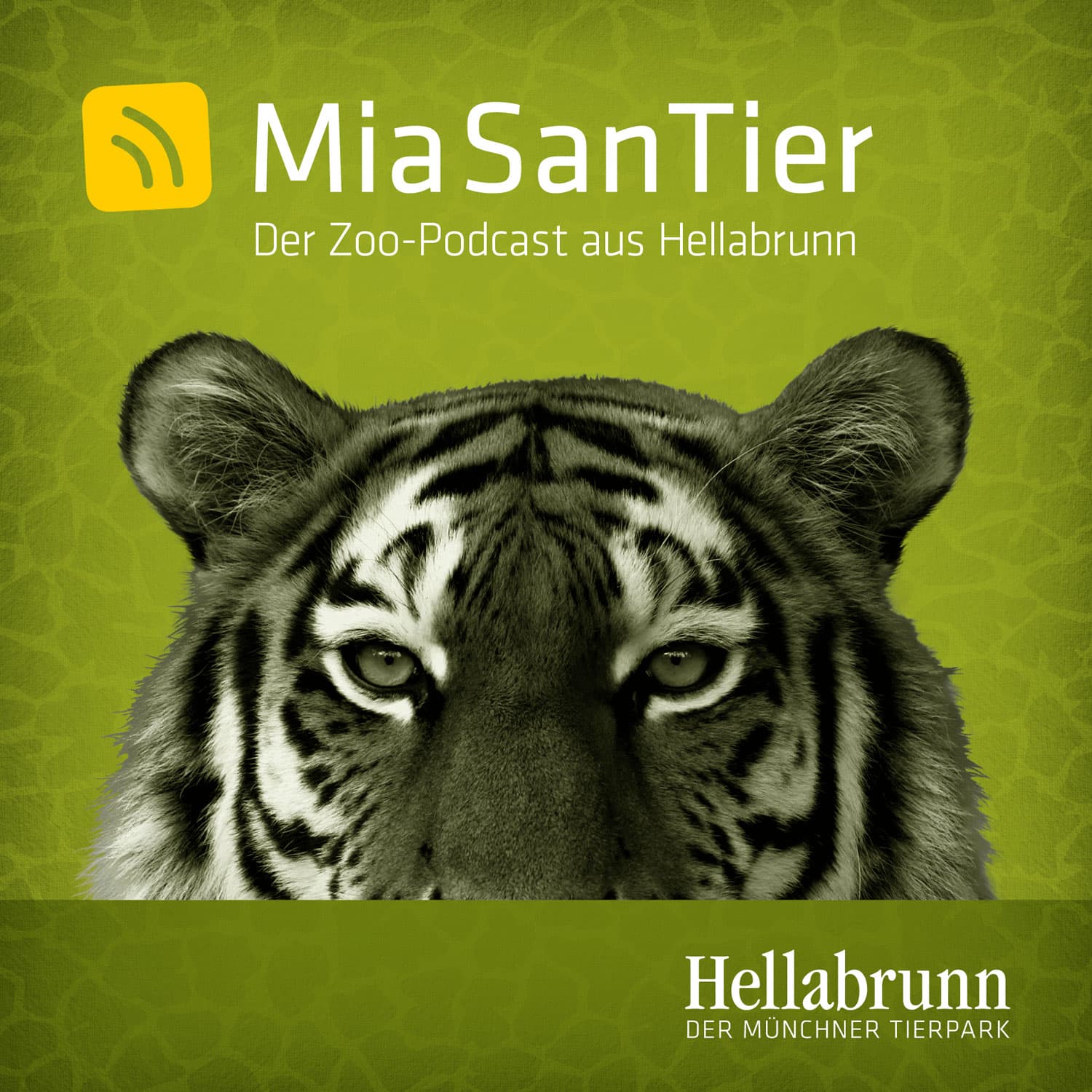 Mia san Tier - Der Zoo-Podcast aus Hellabrunn - Podcasts