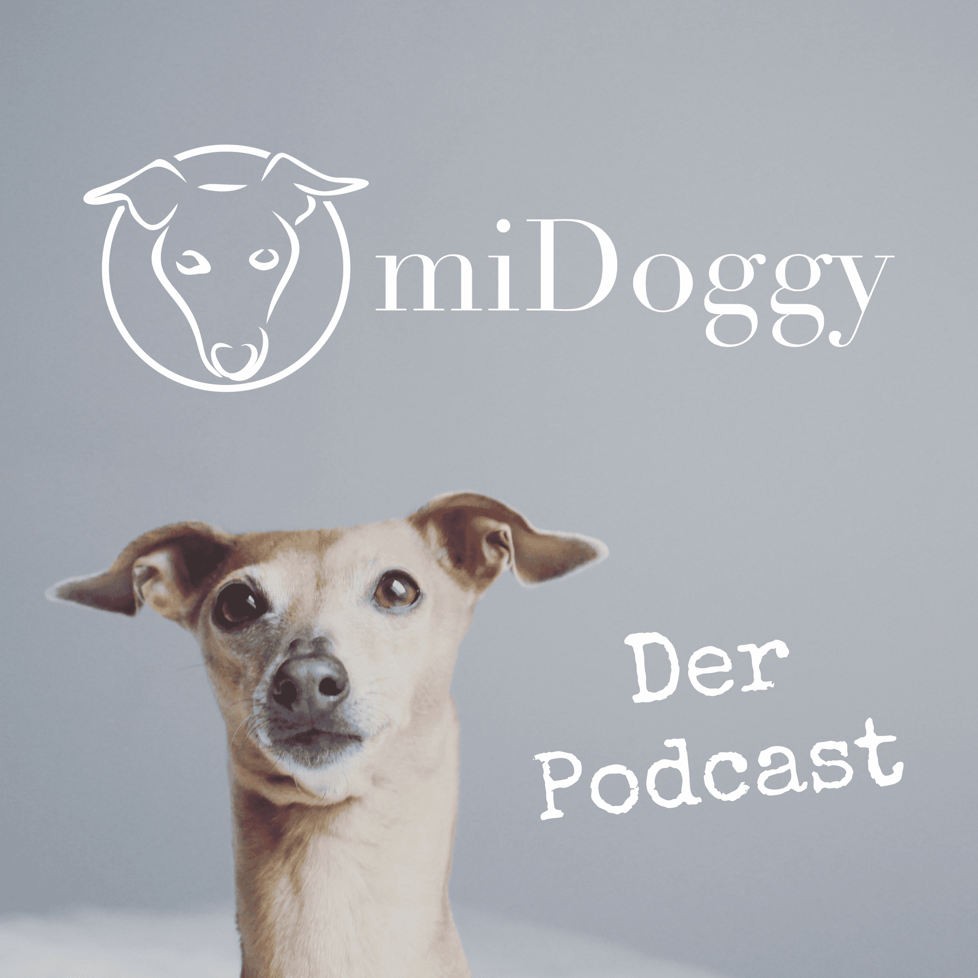 miDoggy || Der Podcast für Hundebegeisterte - Podcasts