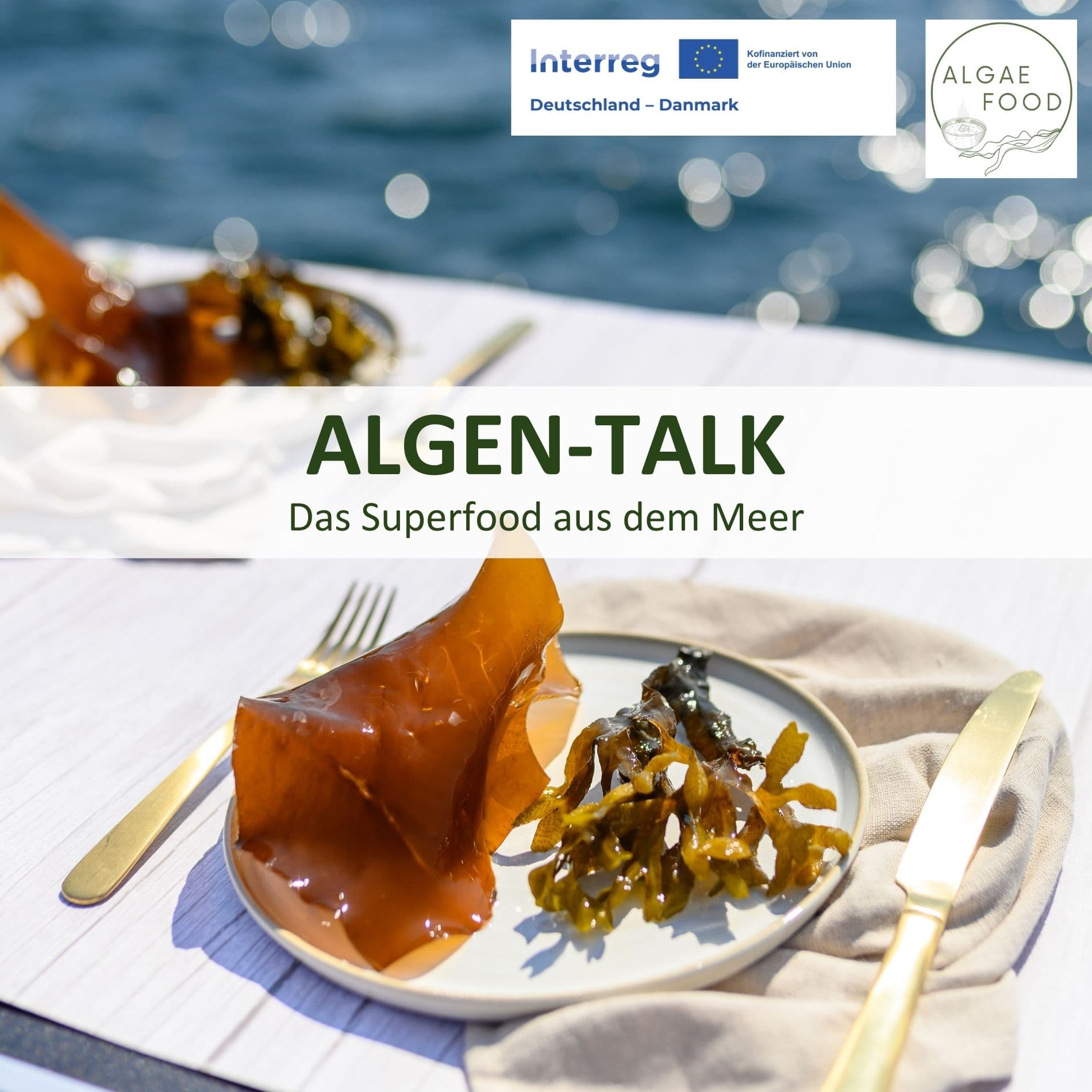 ALGEN-TALK - Das Superfood aus dem Meer - Podcasts