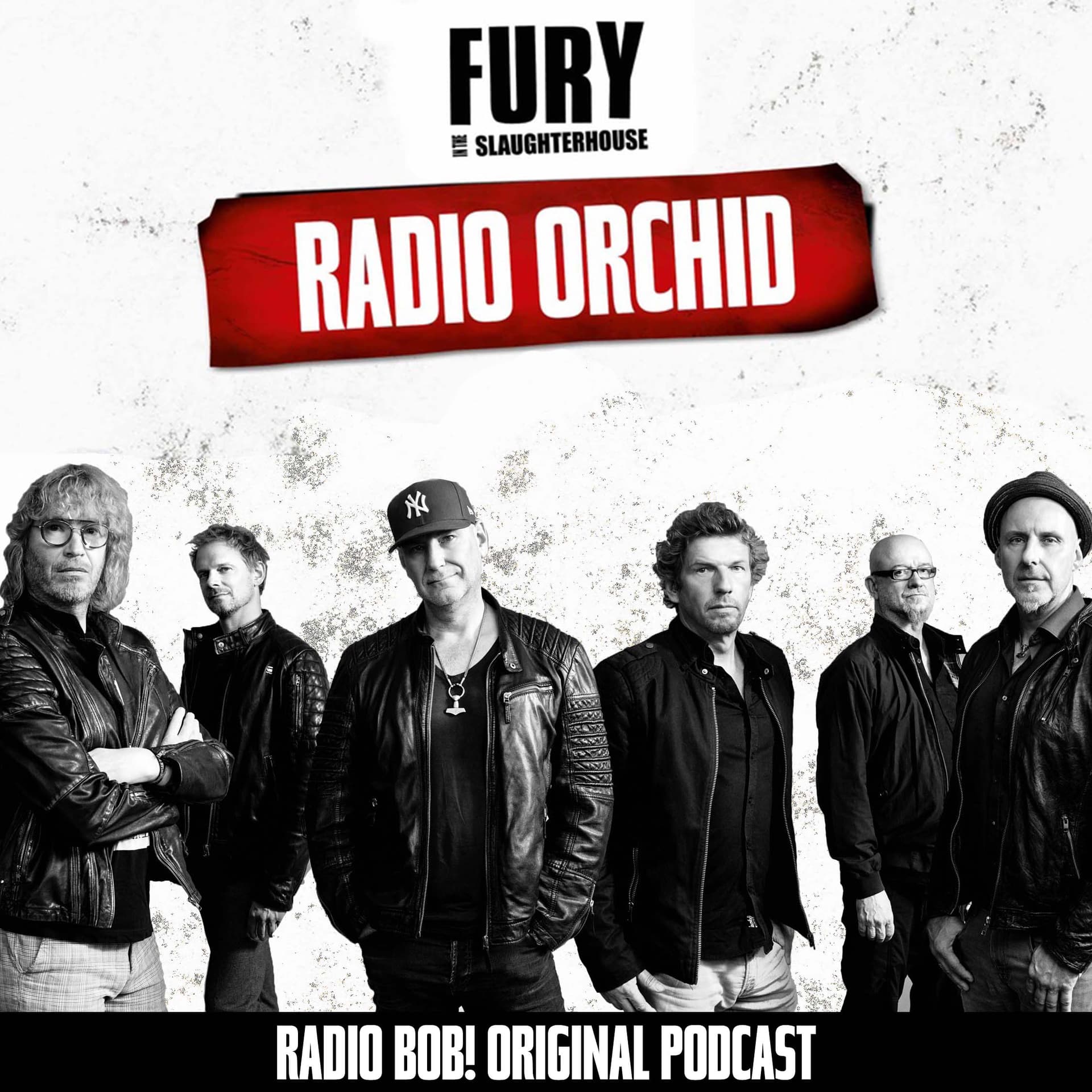 Radio Orchid – der Fury in the Slaughterhouse Podcast bei RADIO BOB! - Podcasts