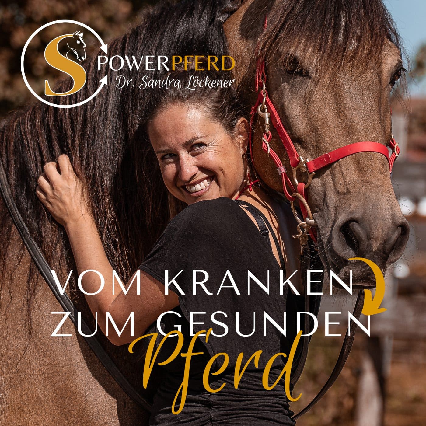 Vom kranken zum gesunden Pferd - Podcasts