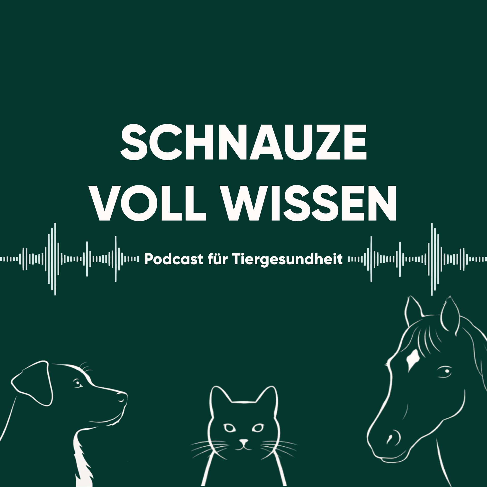 Evovell - Schnauze voll Wissen - Podcasts