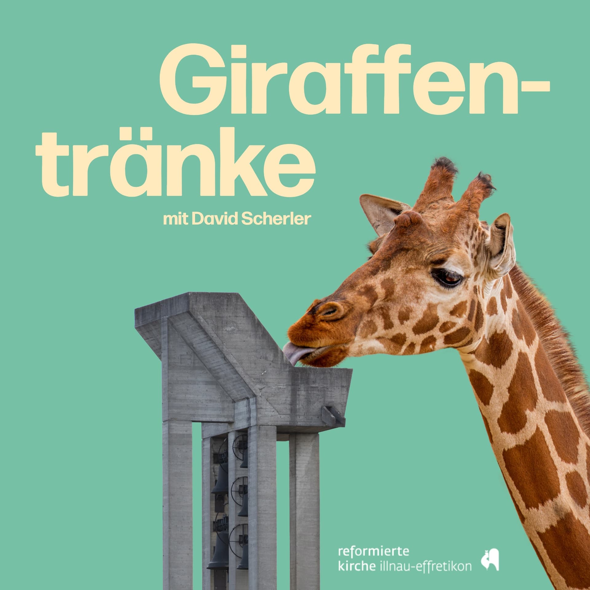 Giraffentränke - Podcasts