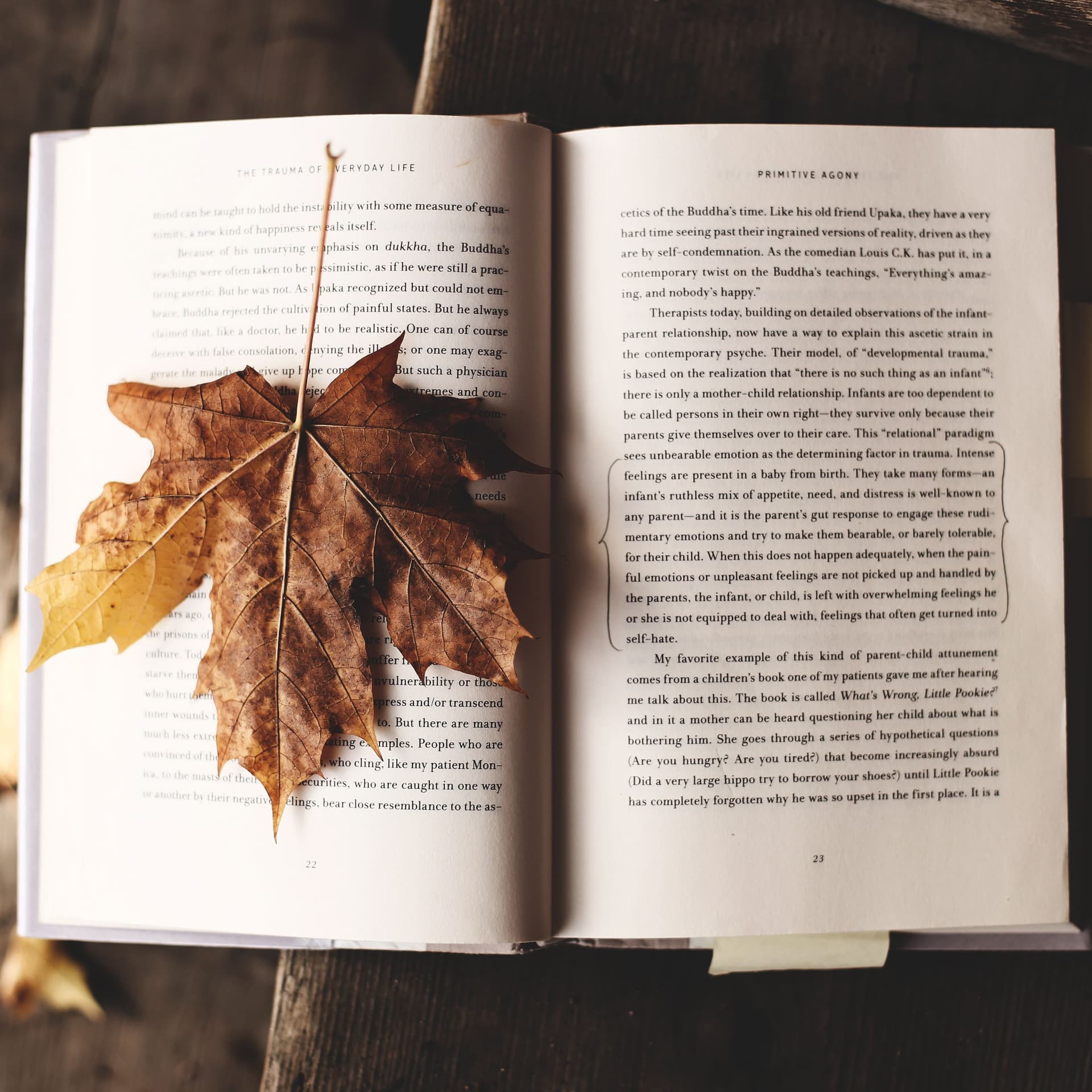 Bücher Casting X - Podcasts