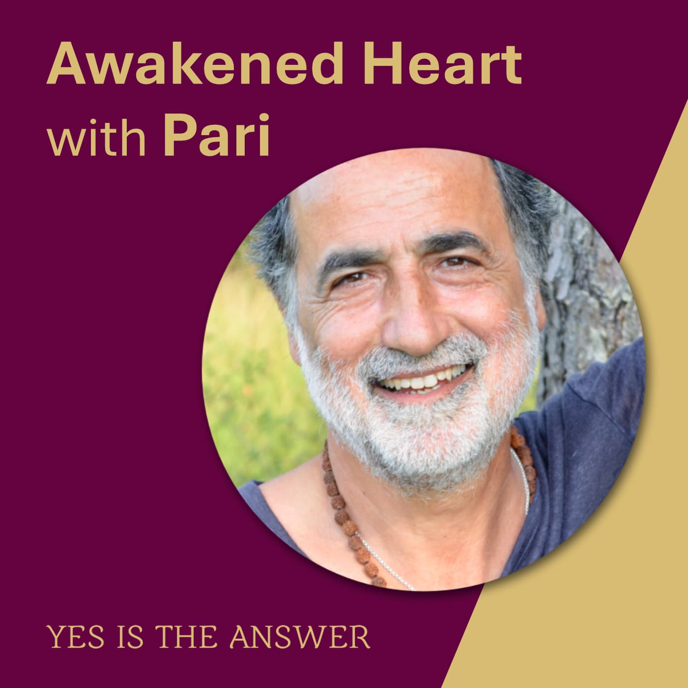 Awakened Heart with Pari - Podcasts