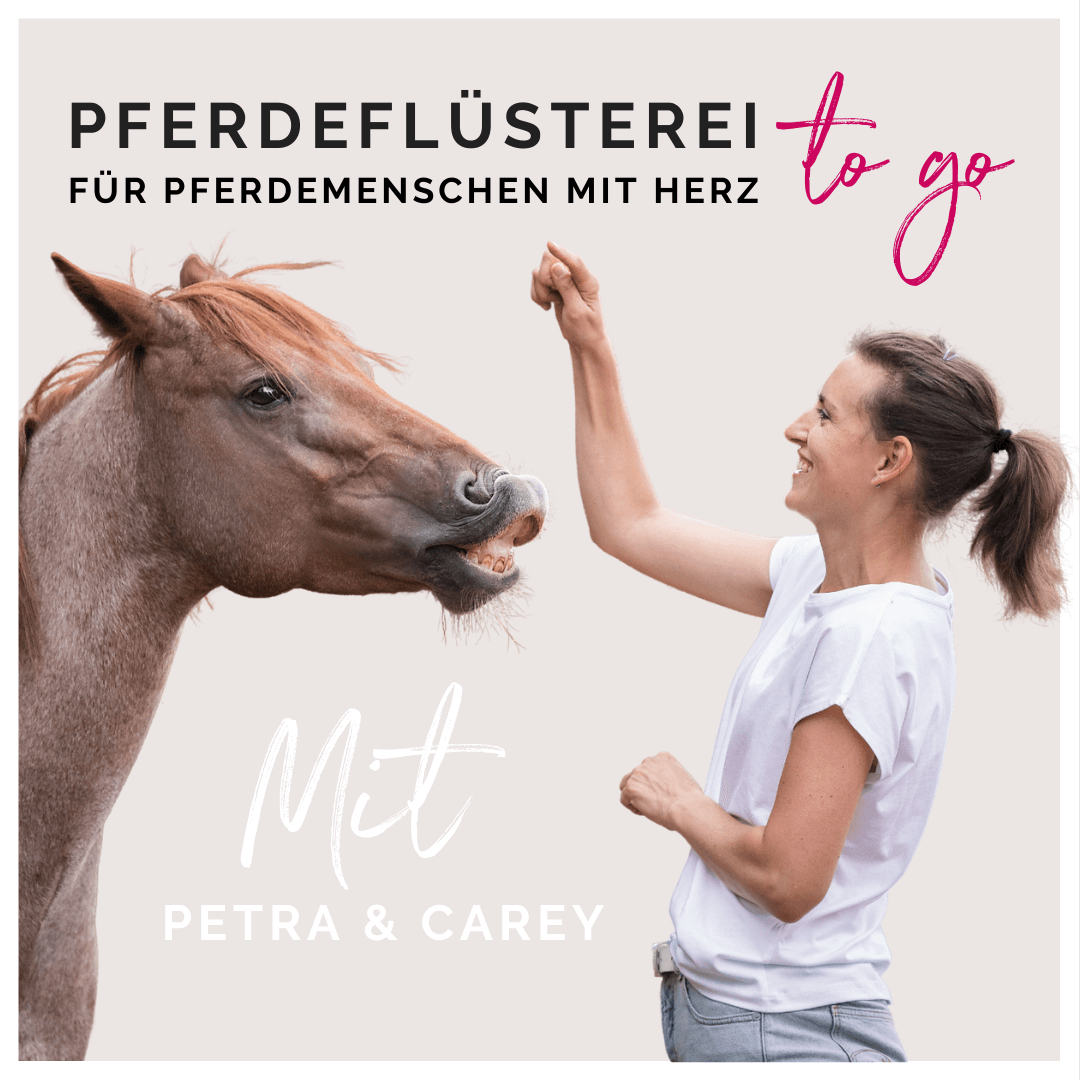 Pferdeflüsterei TO GO! Für Pferdemenschen mit Herz - Podcasts