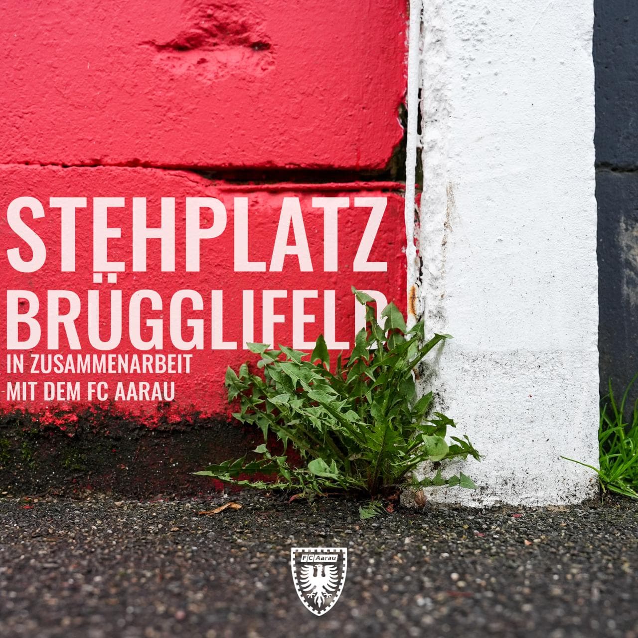 Stehplatz Brügglifeld - Podcasts