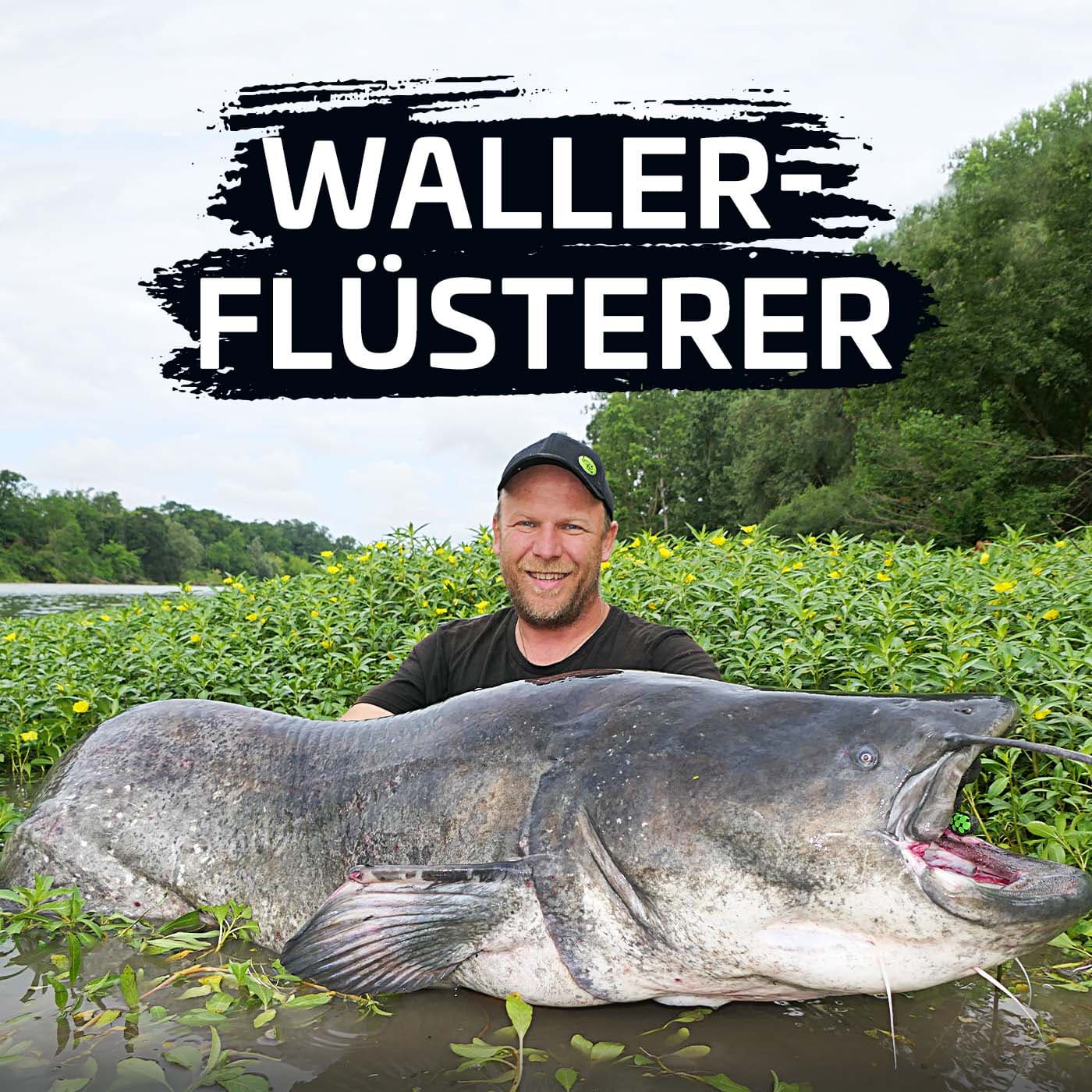 Waller-Flüsterer - Podcasts