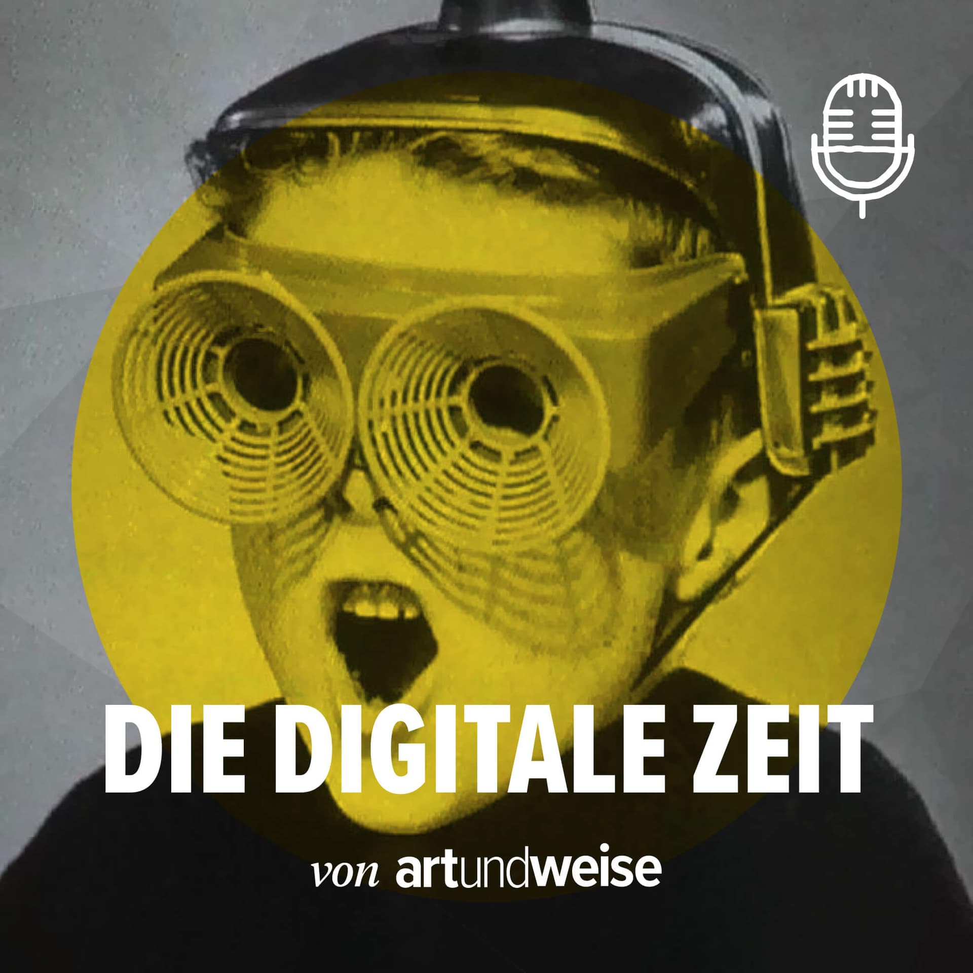 Die digitale Zeit - Podcasts